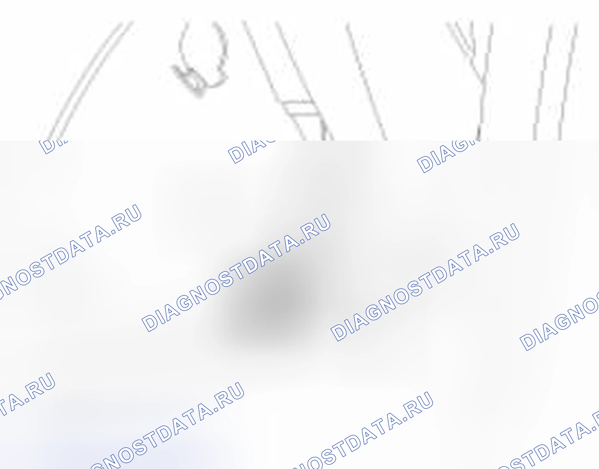 Рис. 36. Haval Beast (Shenshou) I