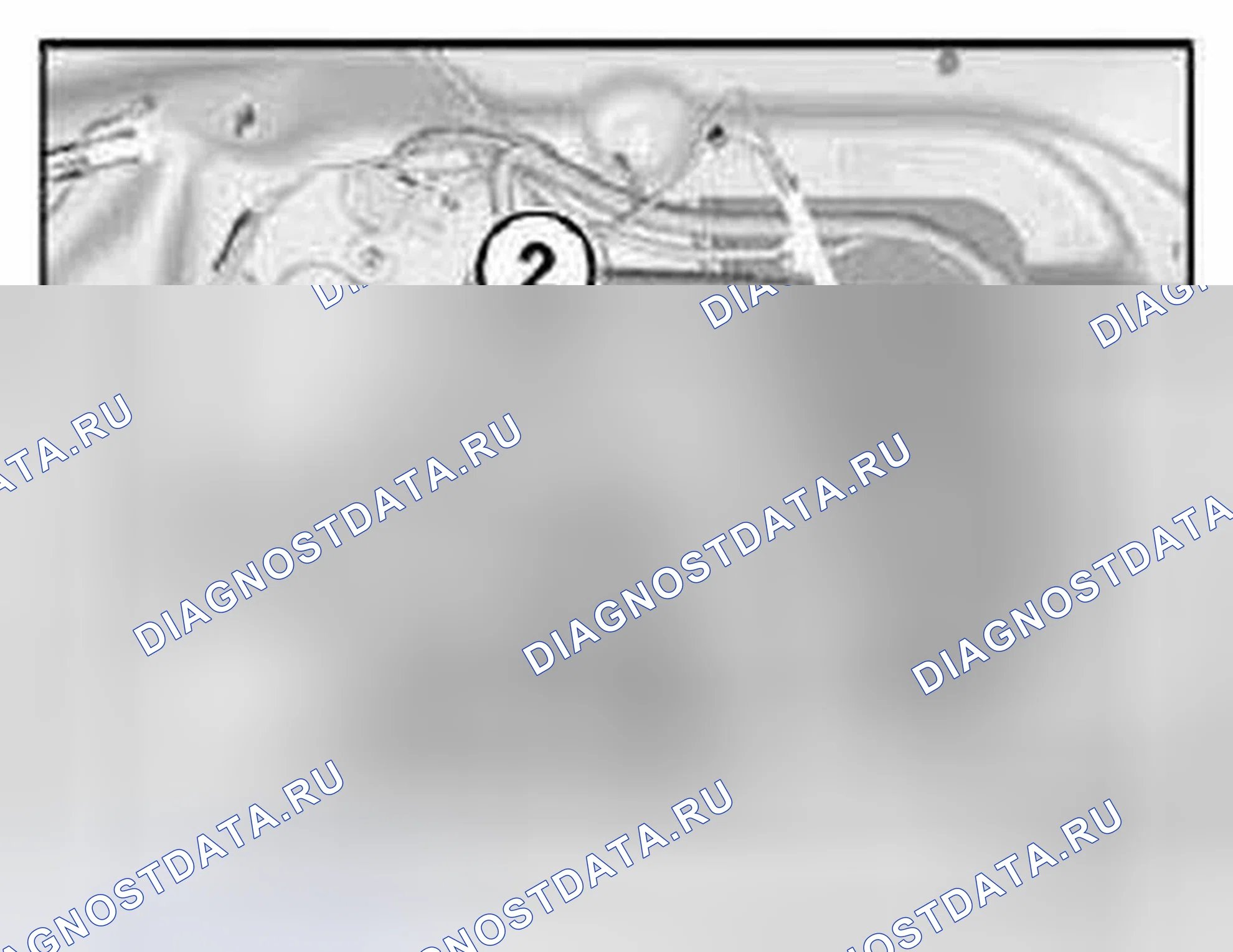 Рис. 446. BMW M6 E63/E64