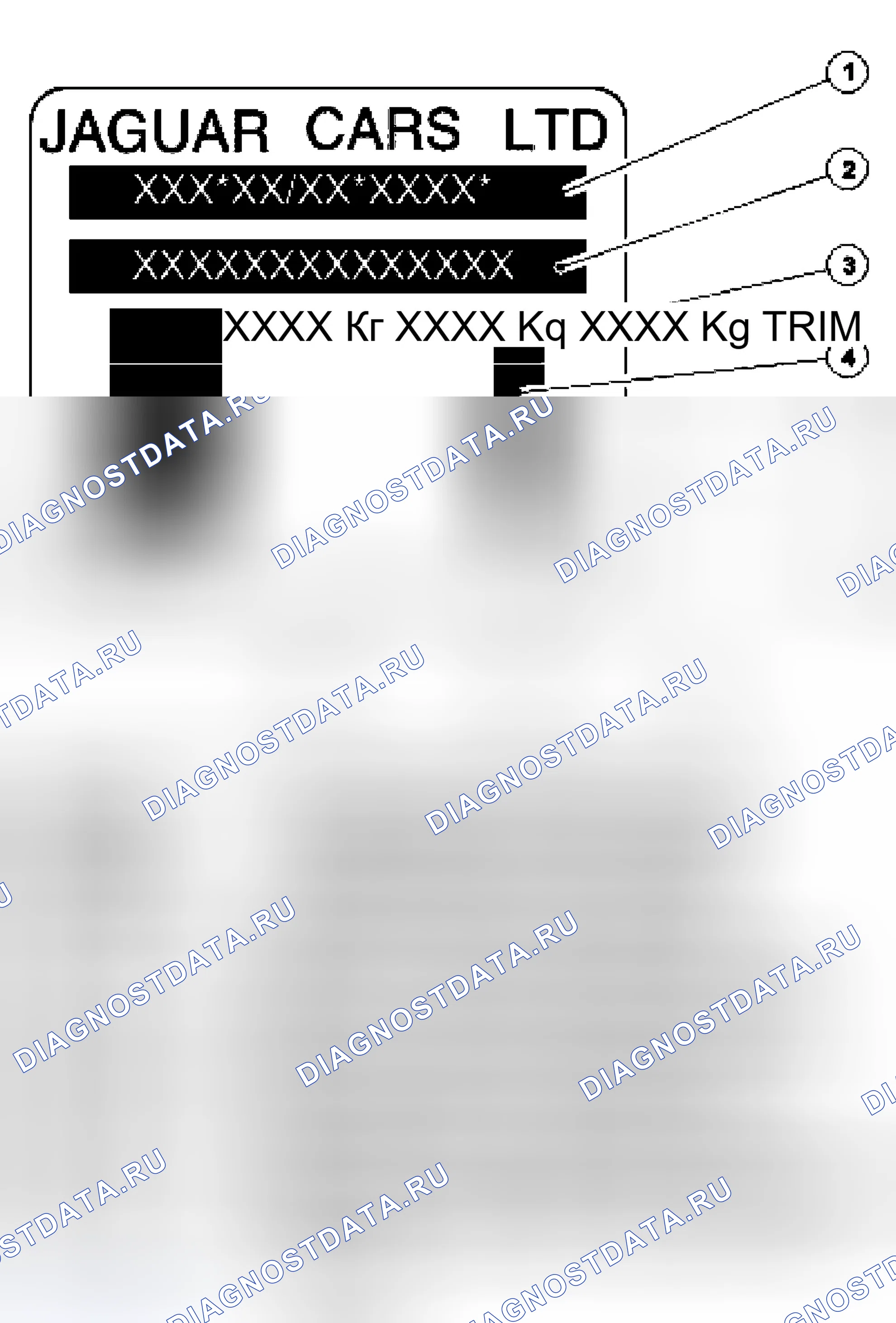 Рис. 9: VIN Label (Европа и остальной мир). Jaguar XJR III