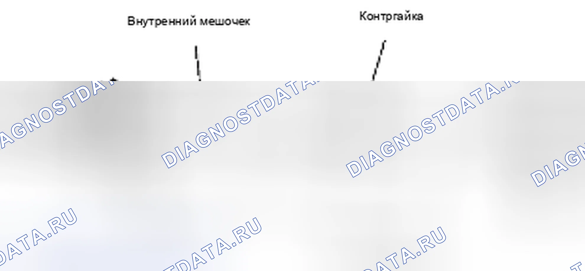 Рис. 31: Тяга. Suzuki Equator I