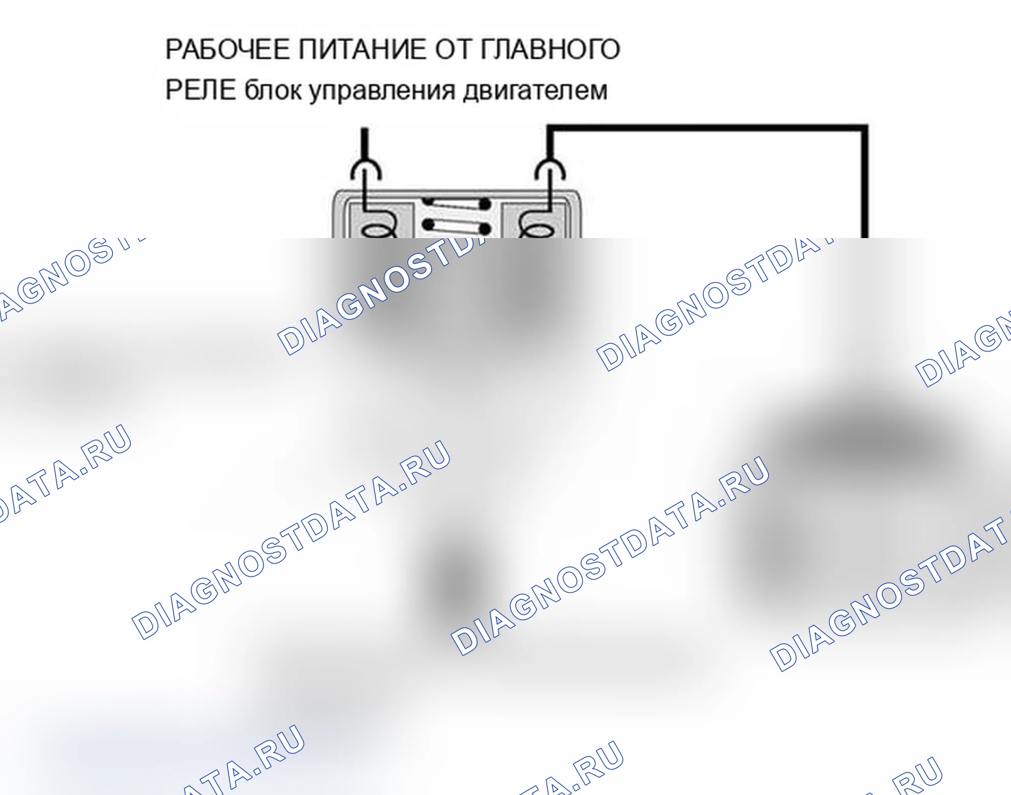 Рис. 523: Продувочный клапан. BMW M3 E46