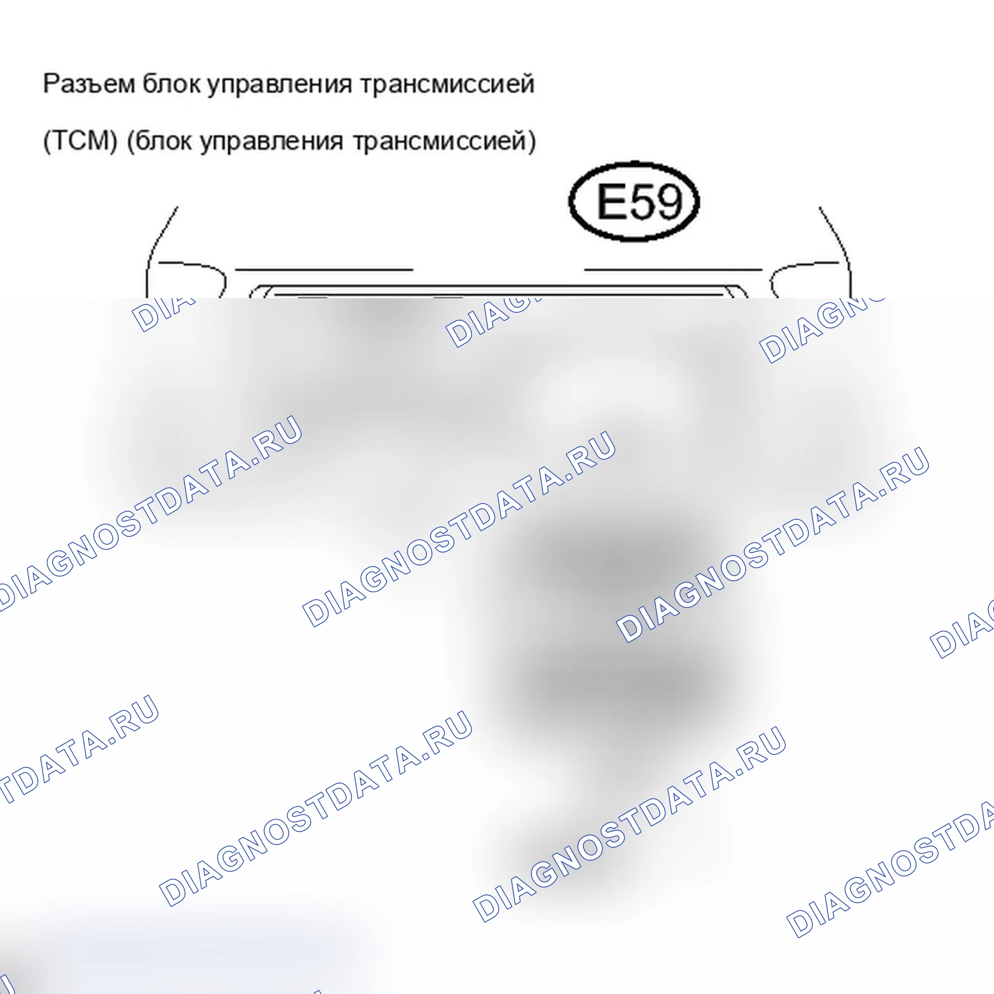 Рис. 411. Lexus IS F I