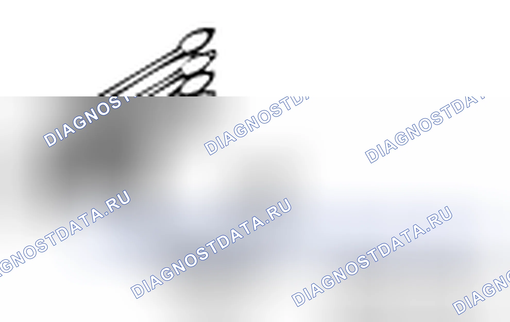 Рис. 20. Honda Crosstour I рестайлинг