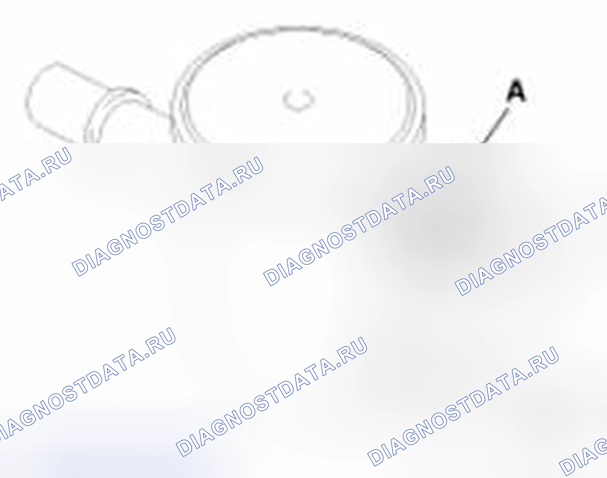 Рис. 290. Haval Beast (Shenshou) I