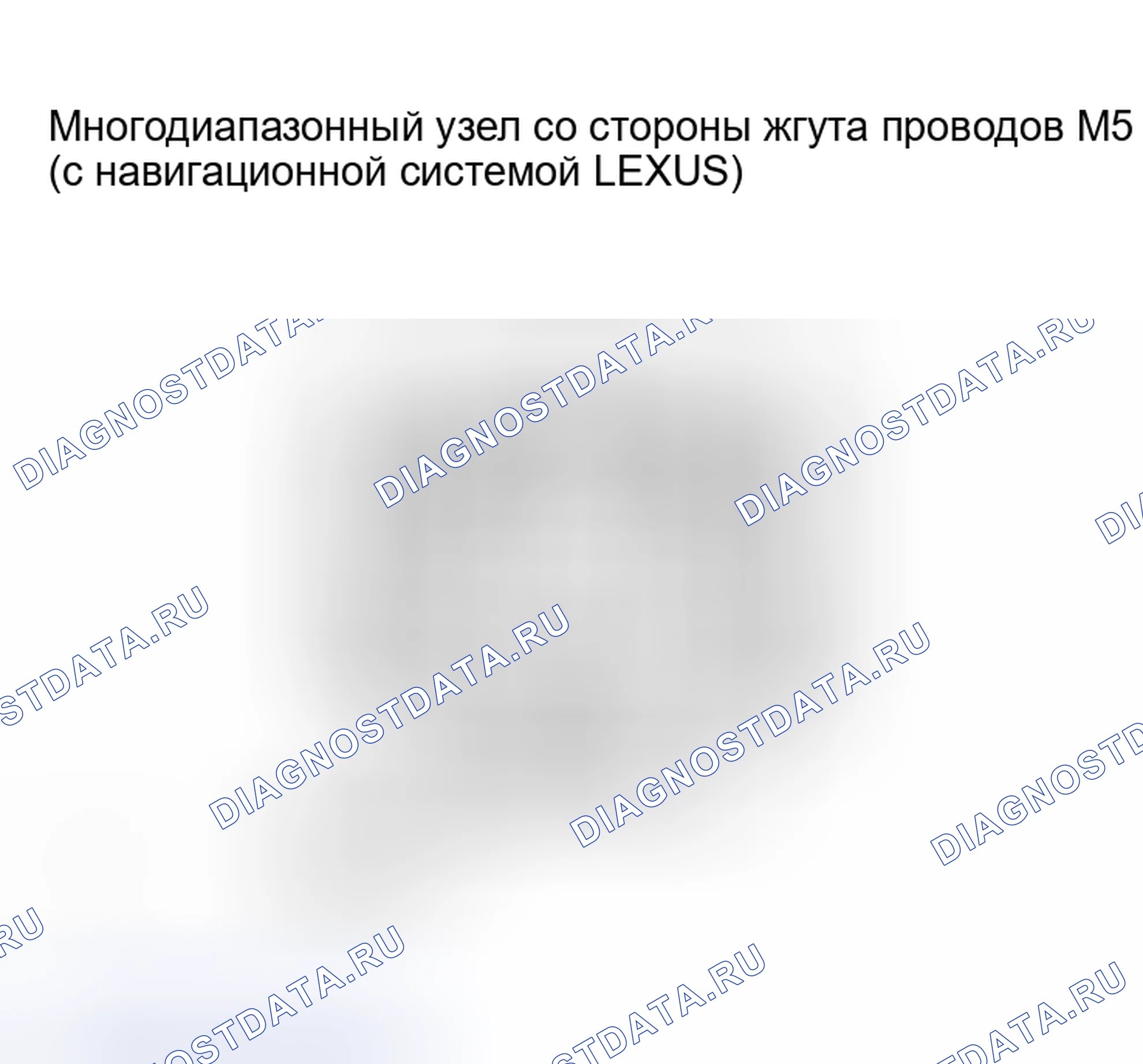 Рис. 205. Lexus RX II