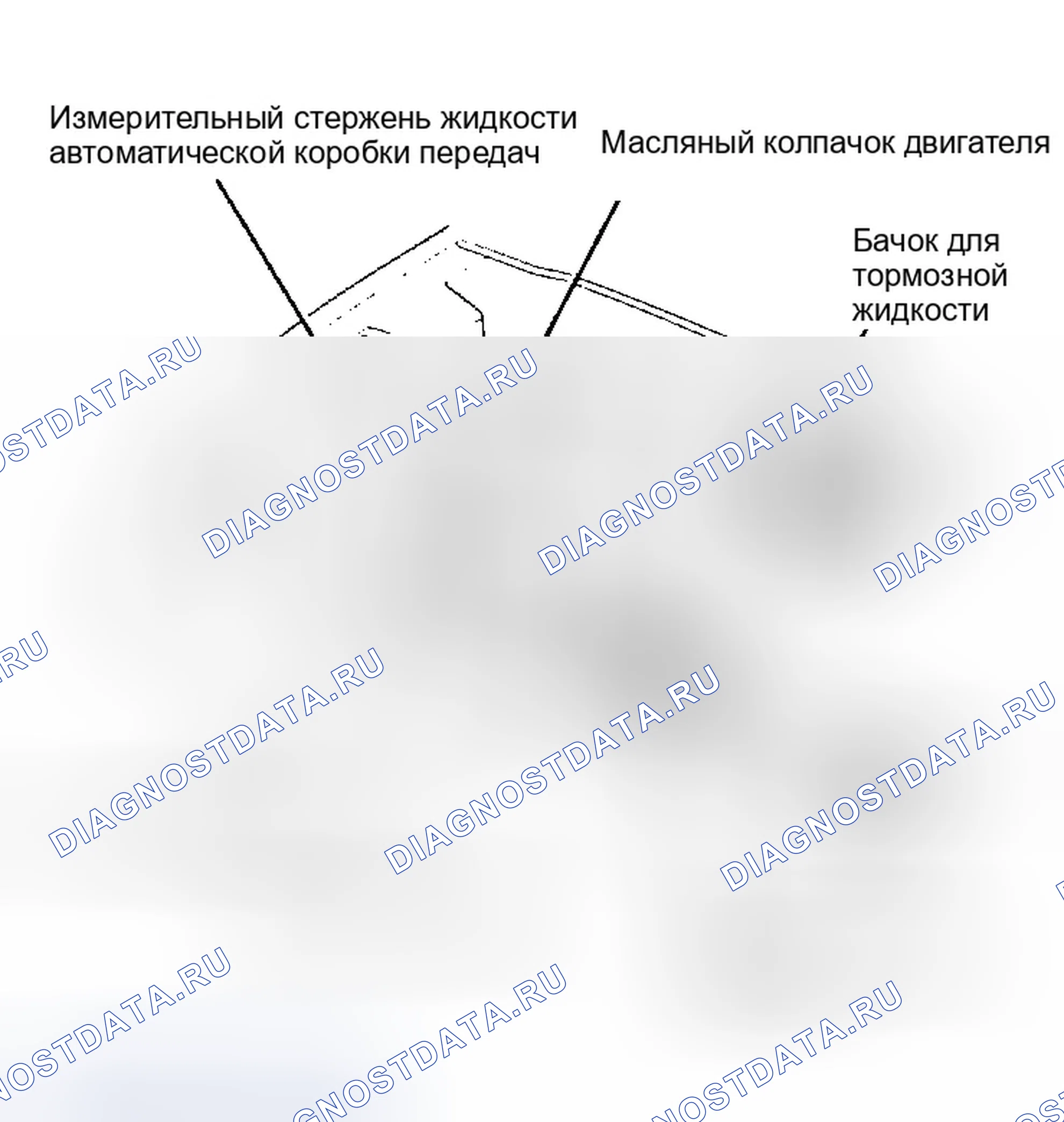 Рис. 17: РАСПОЛОЖЕНИЕ ТОЧЕК ОБСЛУЖИВАНИЯ. Honda Civic II