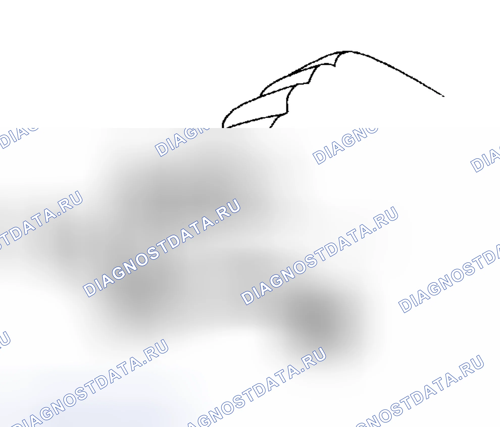 Рис. 820: ИНСПЕКЦИЯ. Toyota Tacoma II