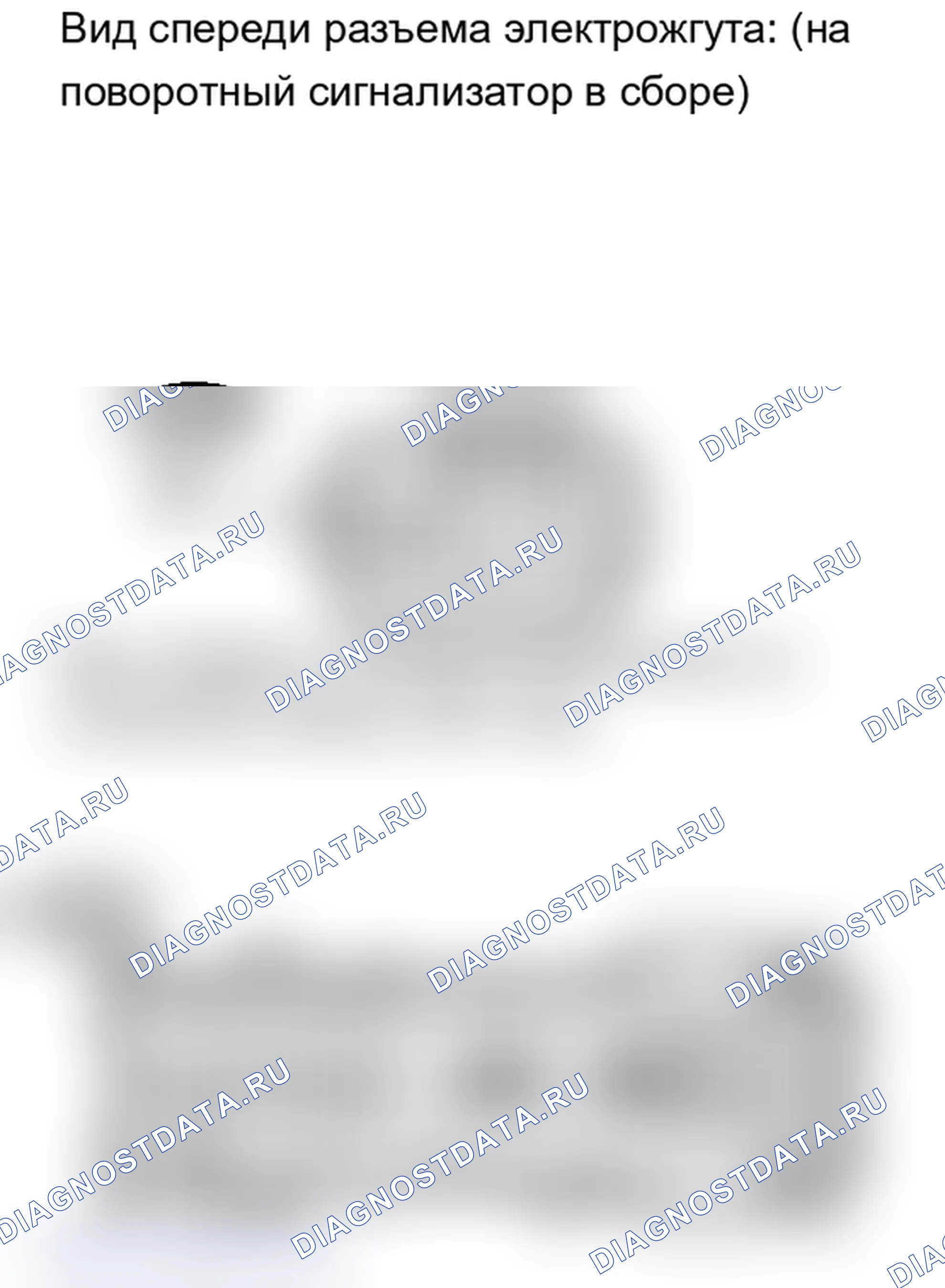 Рис. 218. Lexus IS F I