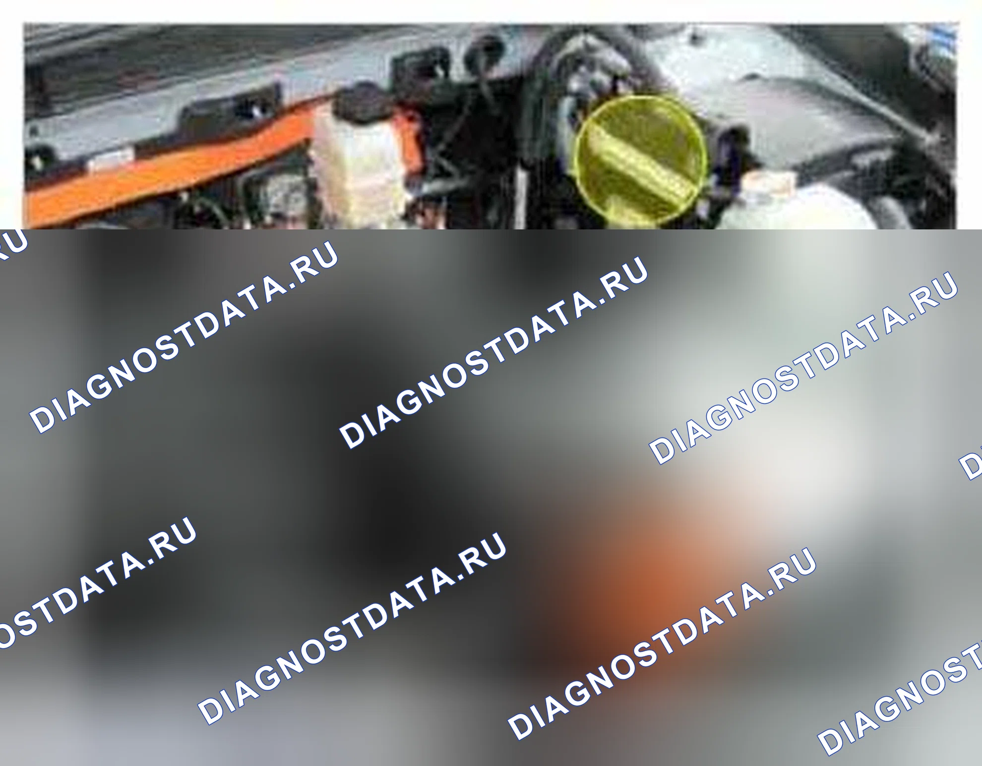 Рис. 296: Расположение компонентов. Kia Optima III
