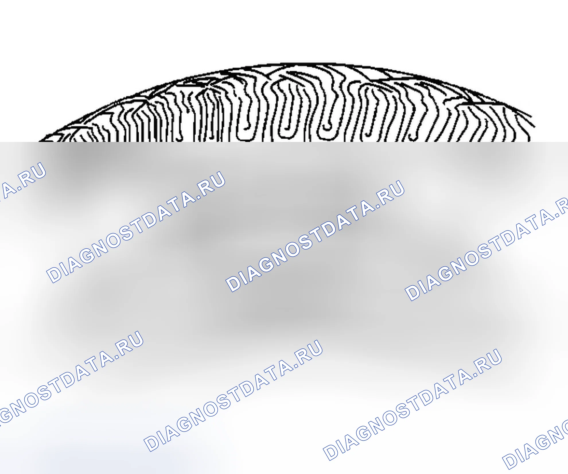 Рис. 32: Проверка шин и колес. Buick Century VI