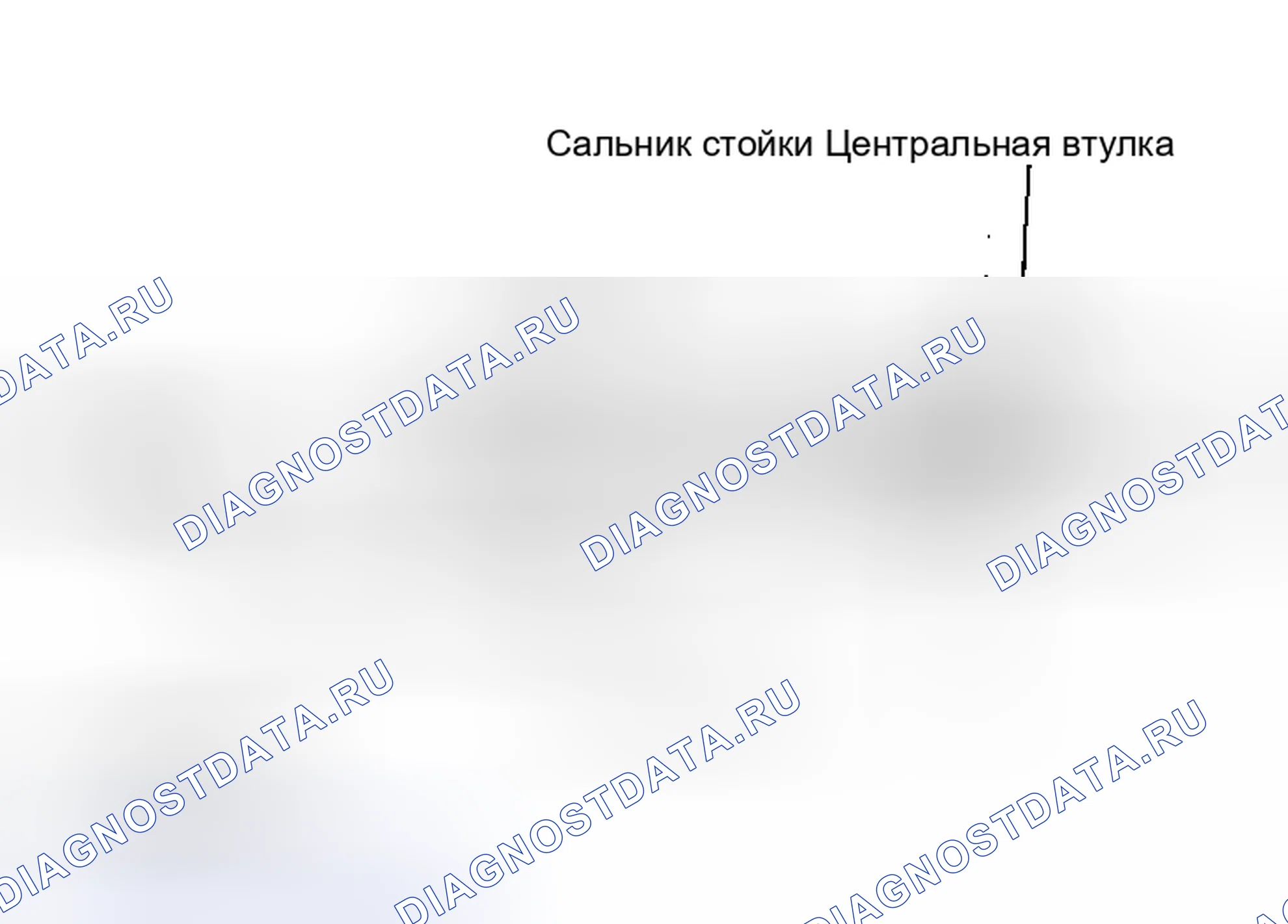 Рис. 22: Удаление центральной втулки и масляного уплотнения стойки. Infiniti I30 II