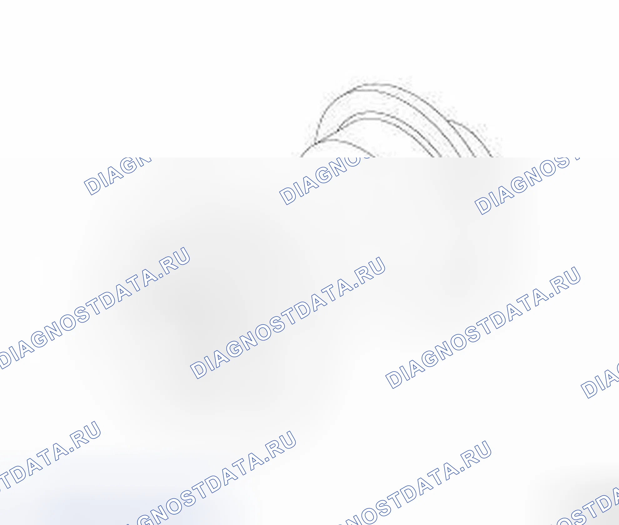 Рис. 191. Dodge Challenger III