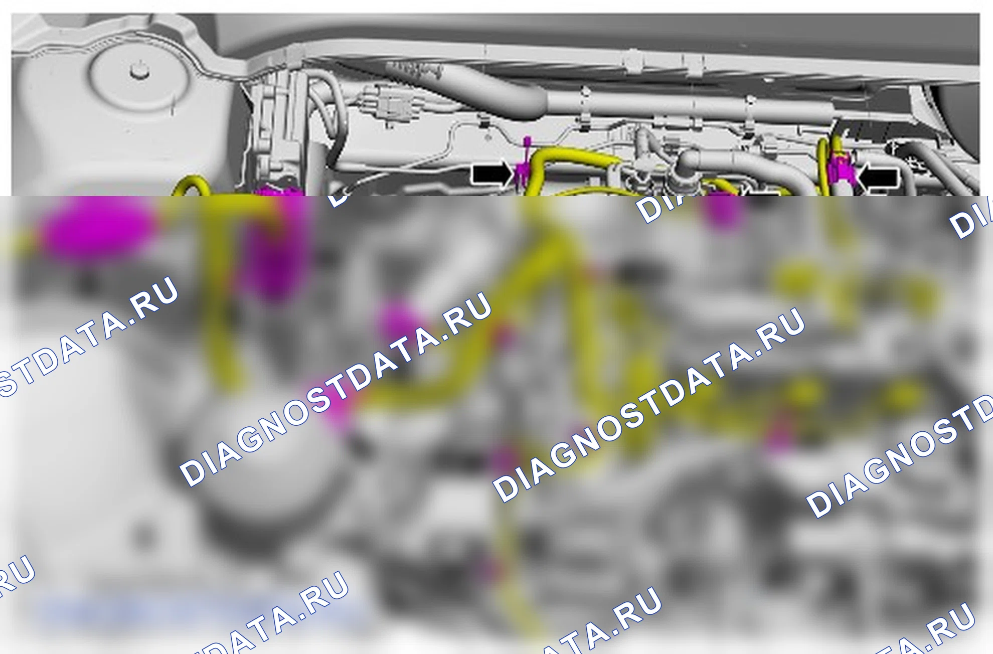 регулируемое газораспределение (VCT) Единица: описание и работа. Ford Transit Connect II