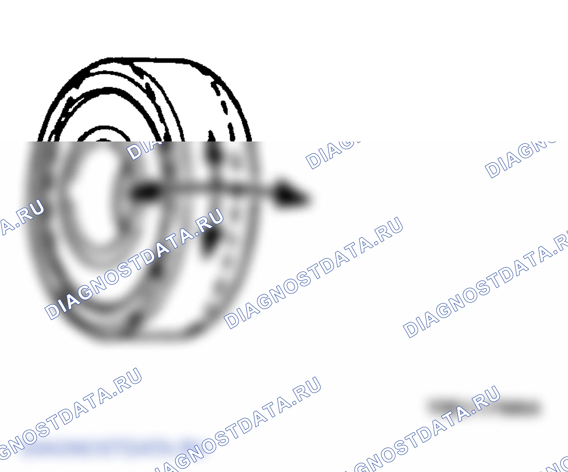 Рис. 14: Подшипник. Mazda MPV III