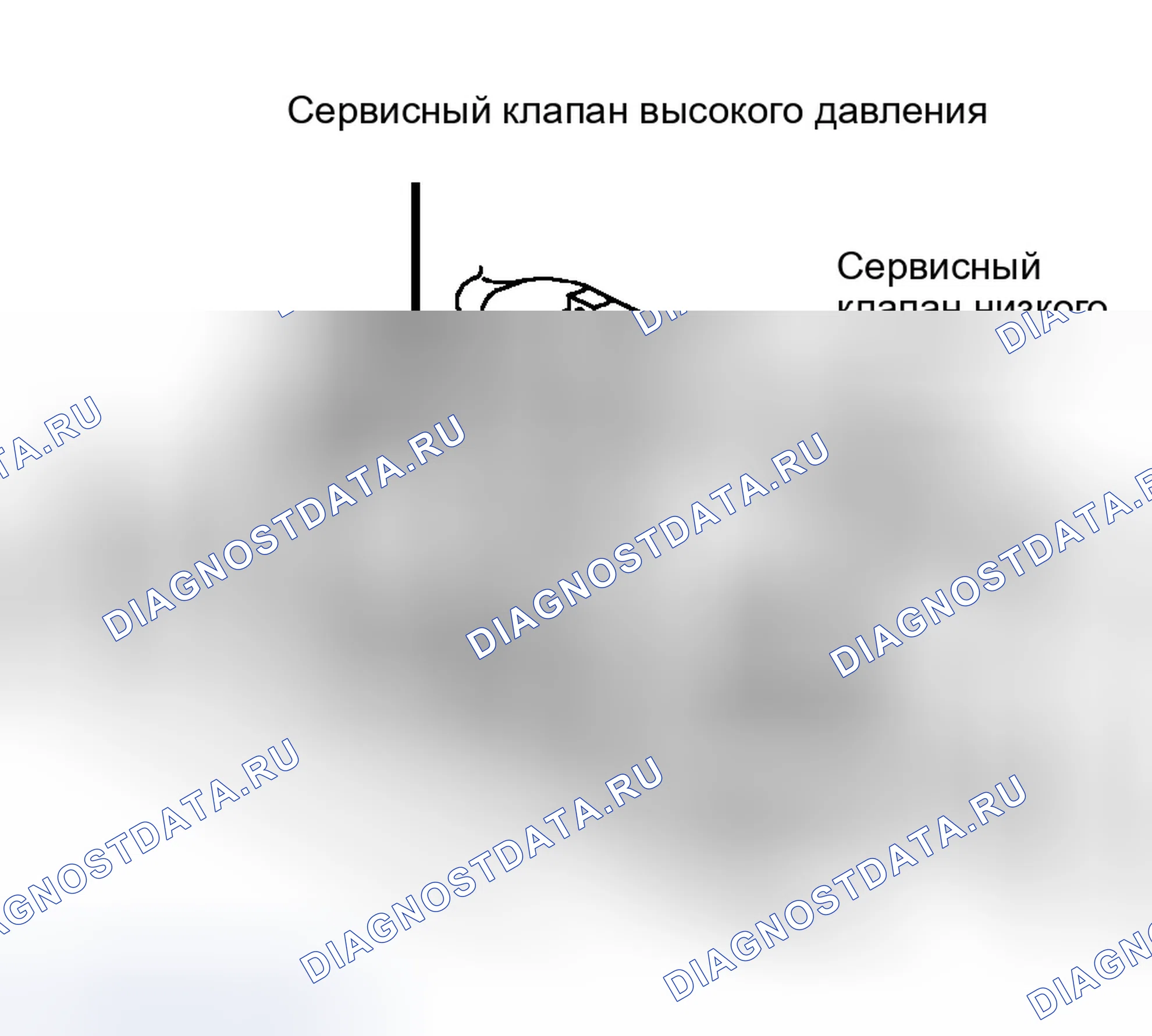 Рис. 31. Ford Escape I