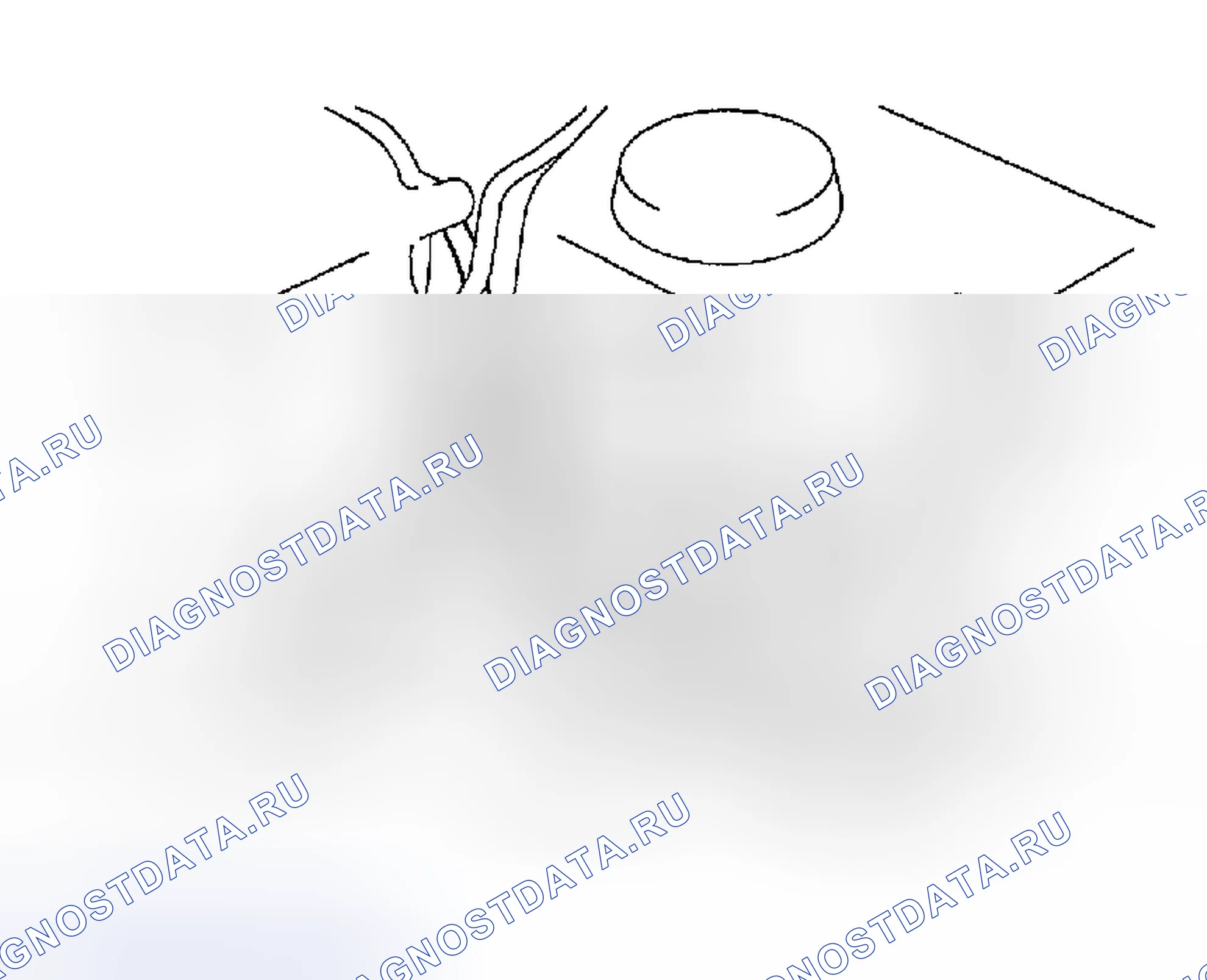 Рис. 239. Haval Menglong I