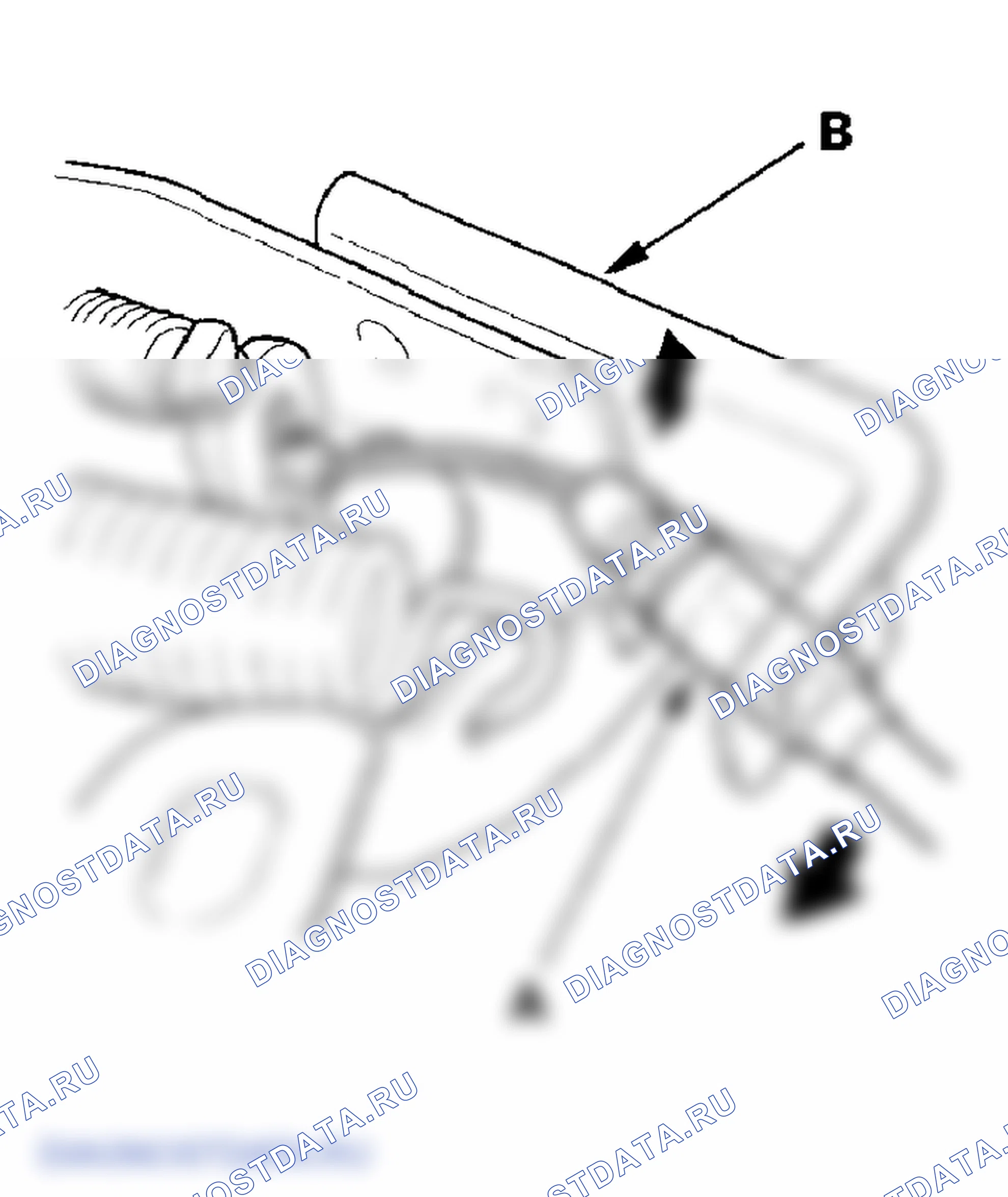 Рис. 4. Honda Element YH2