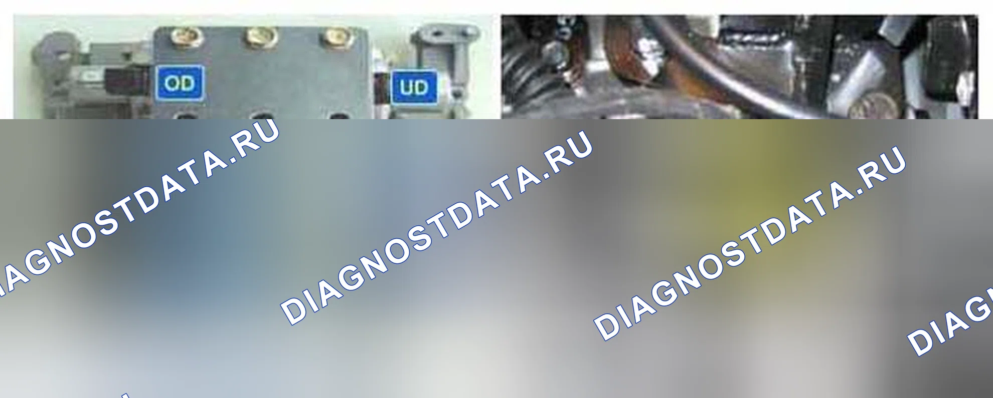 Рис. 363: Расположение компонентов. Kia Magentis II рестайлинг