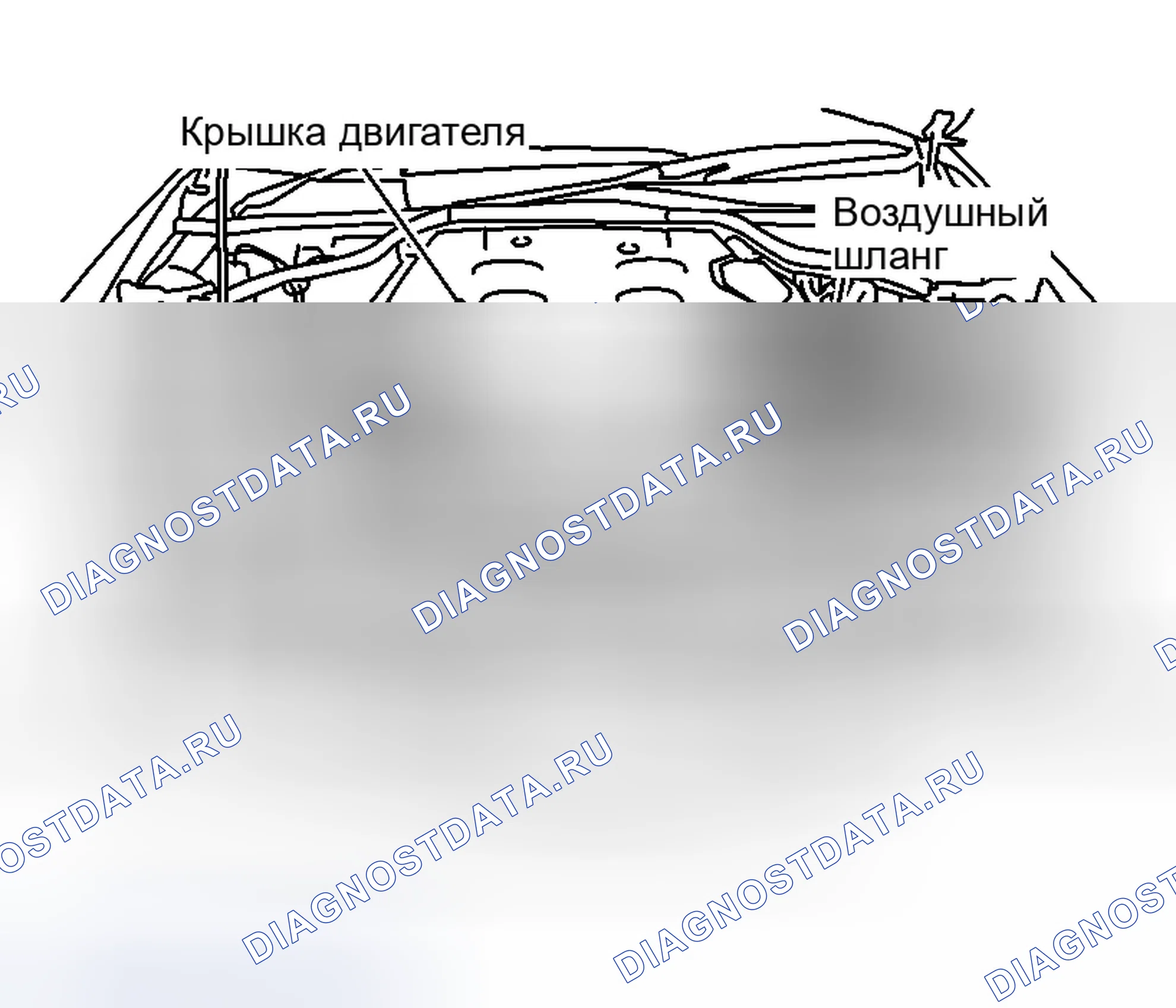 Рис. 539. Infiniti G35 III