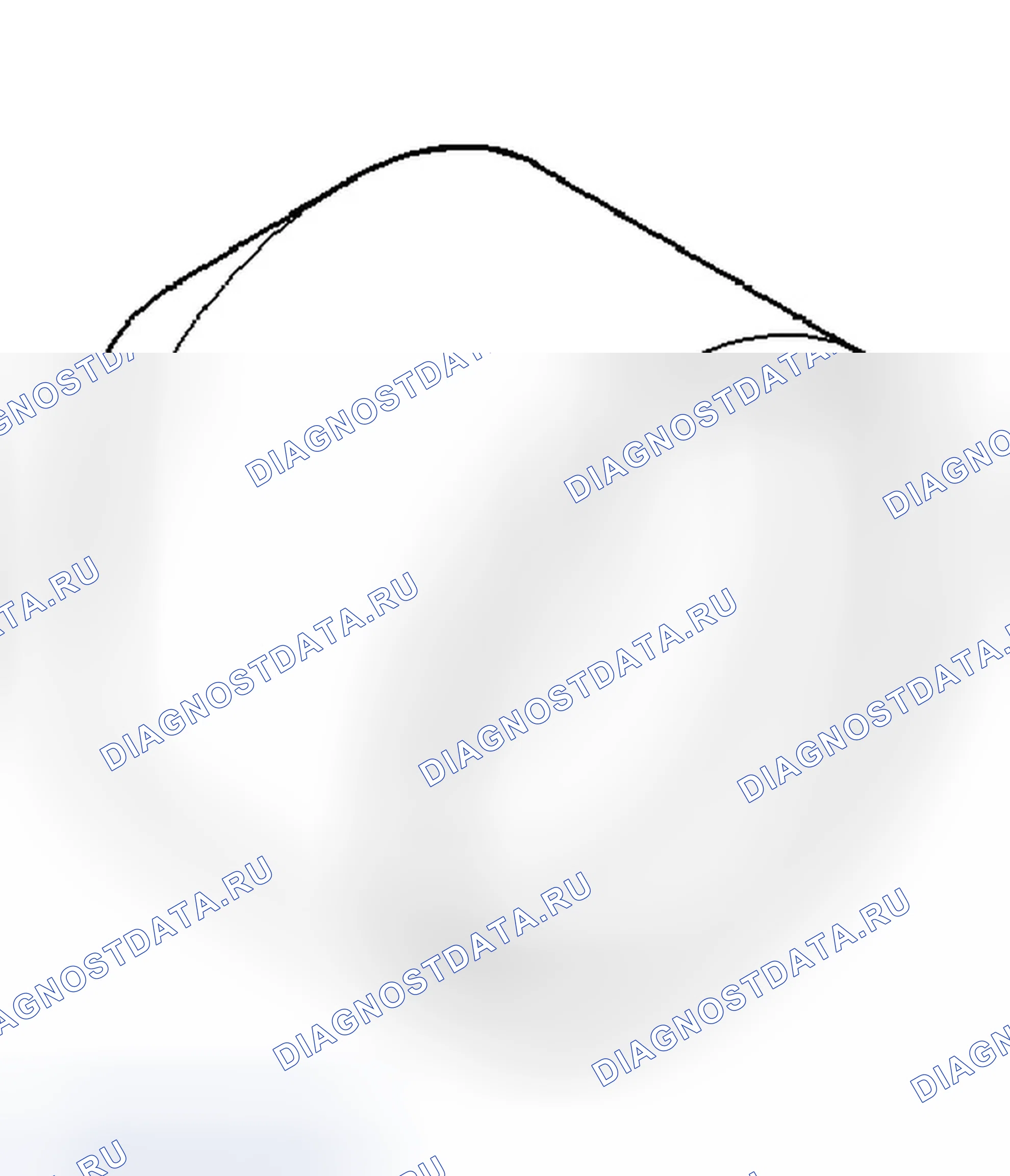Рис. 200. Dodge Nitro I