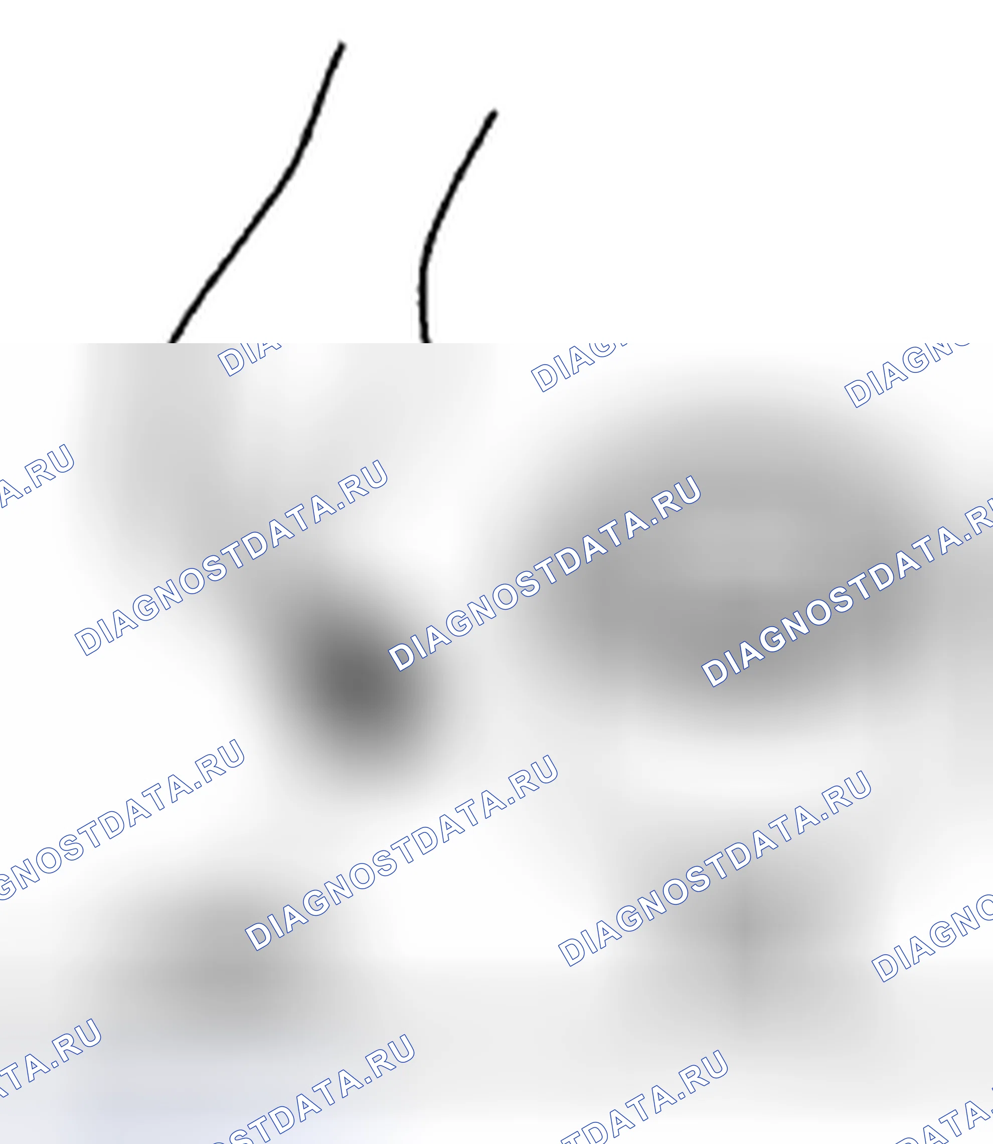 Рис. 58. Acura CSX I