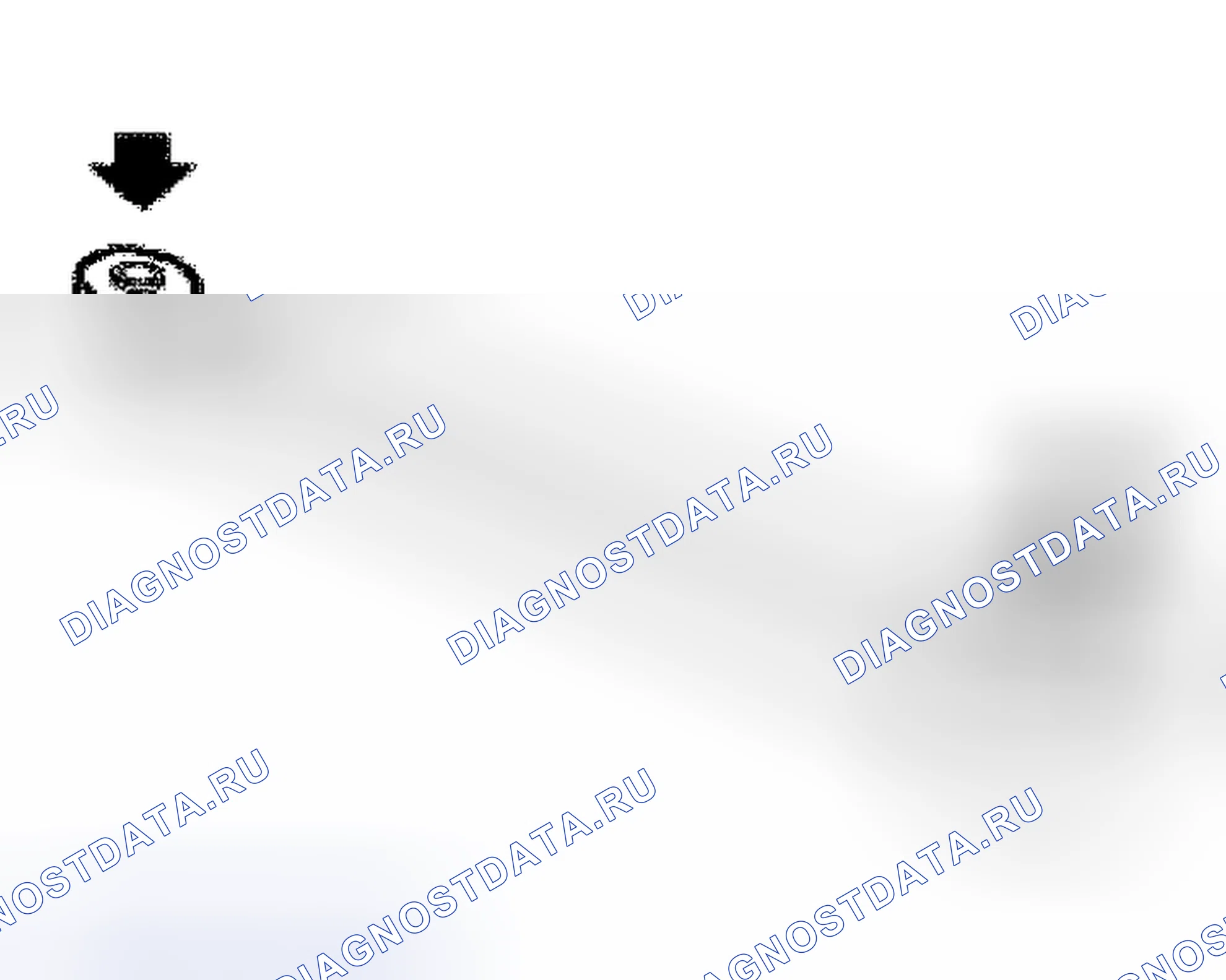 Рис. 31. Land Rover Freelander L314
