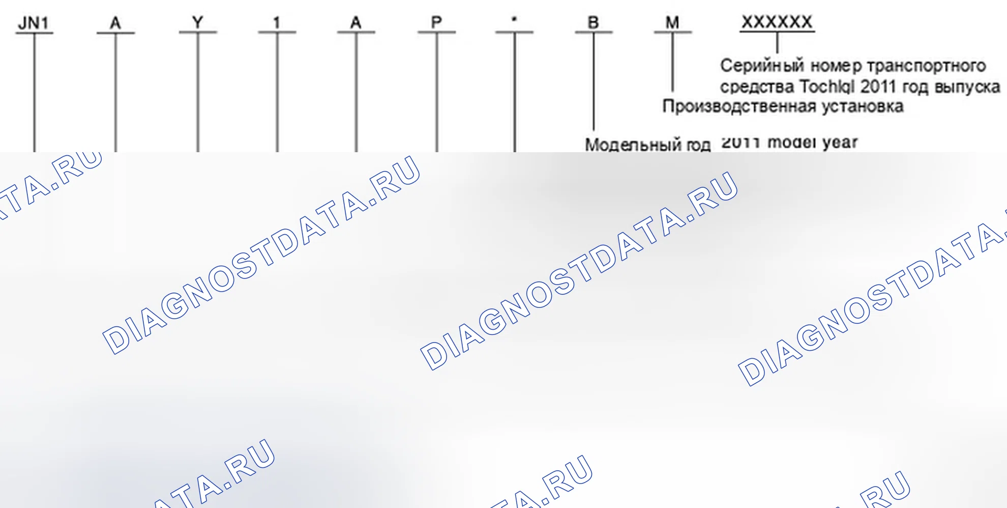Рис. 41: РАСПОЛОЖЕНИЕ ИДЕНТИФИКАЦИОННЫХ НОМЕРОВ ТРАНСПОРТНЫХ СРЕДСТВ. Infiniti M56 IV