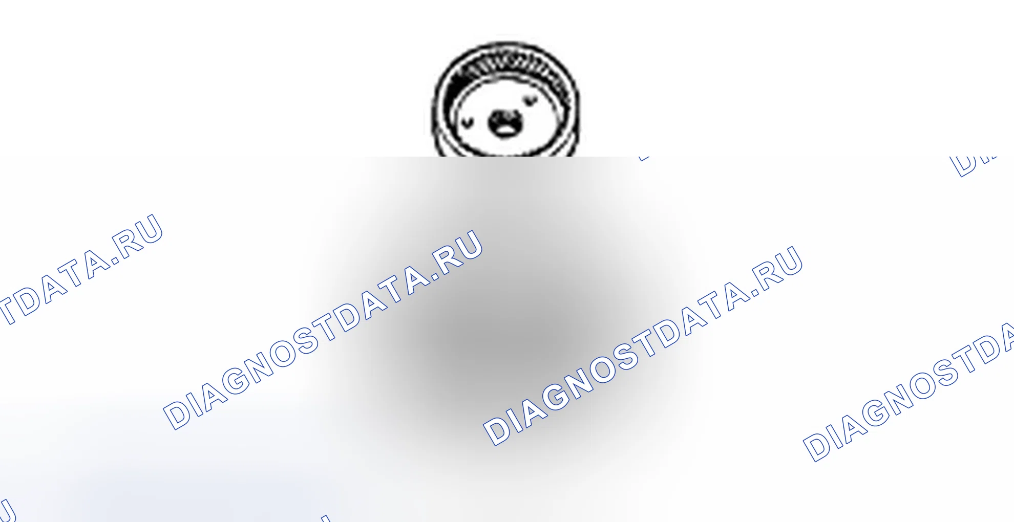 Разборка тормоза повышенной передачи. Hyundai H-1 A1