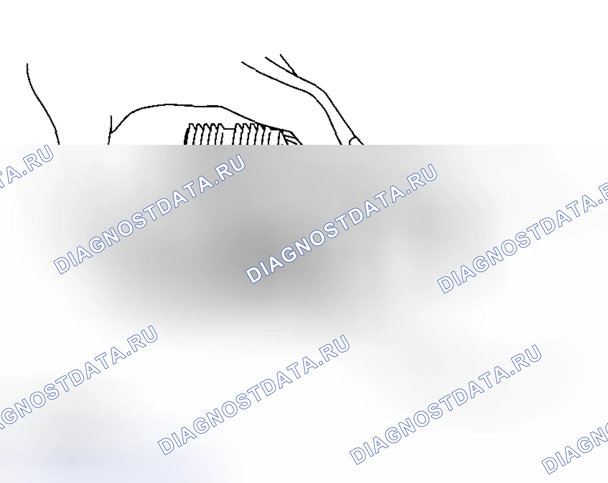 Рис. 69. Honda WR-V I