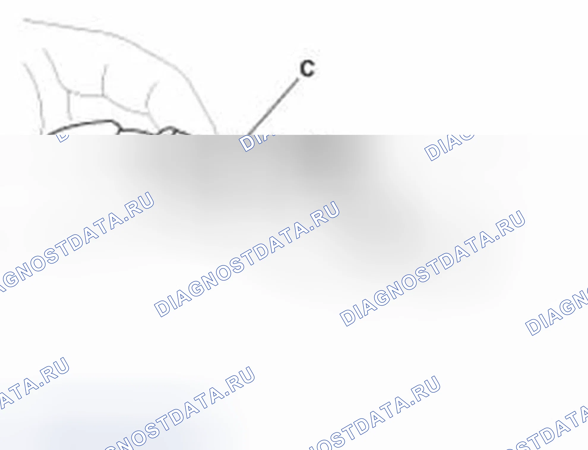 Рис. 48: Подключение. Hyundai Equus II
