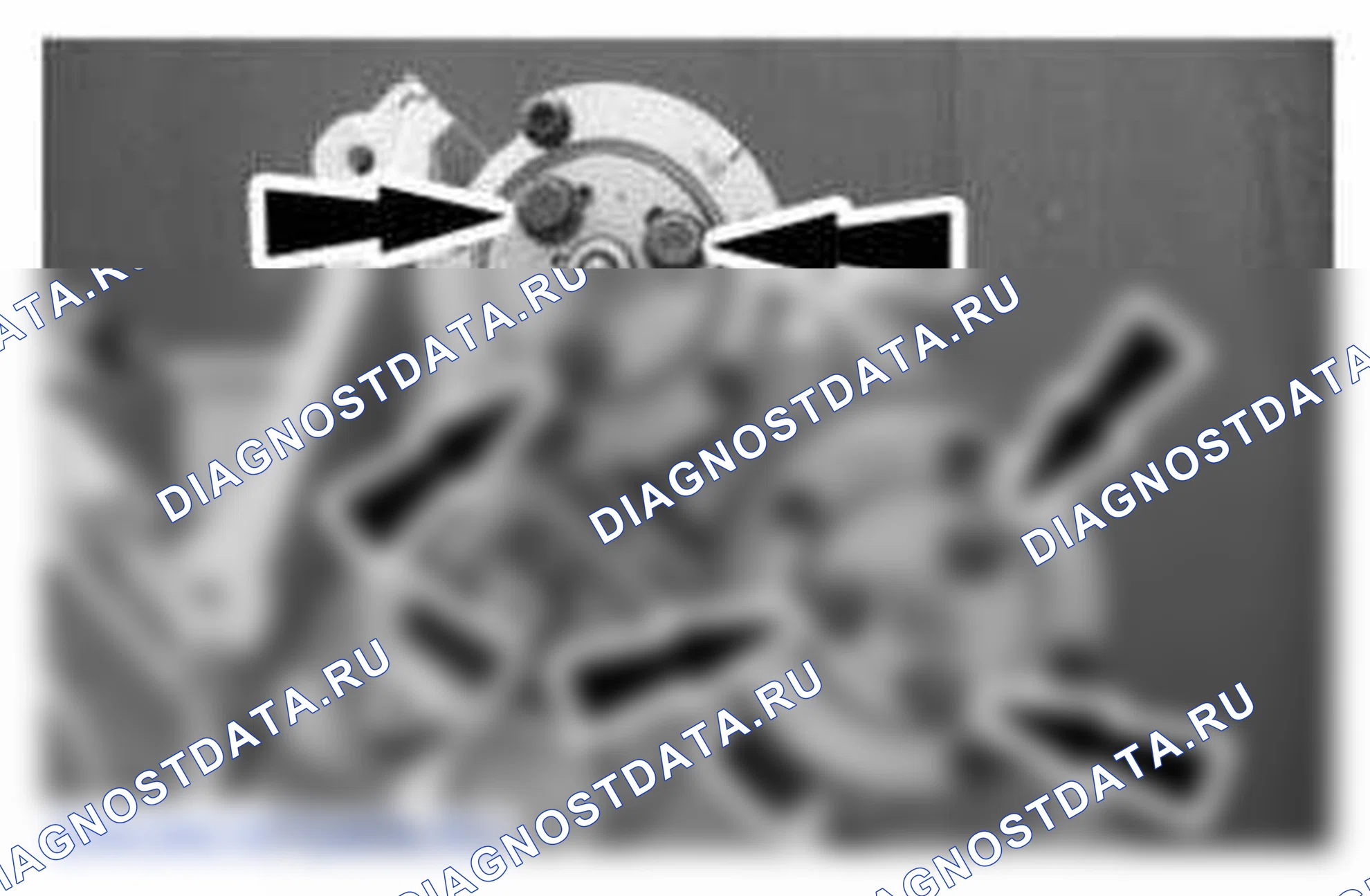 Рис. 1330. Ford Mustang V рестайлинг
