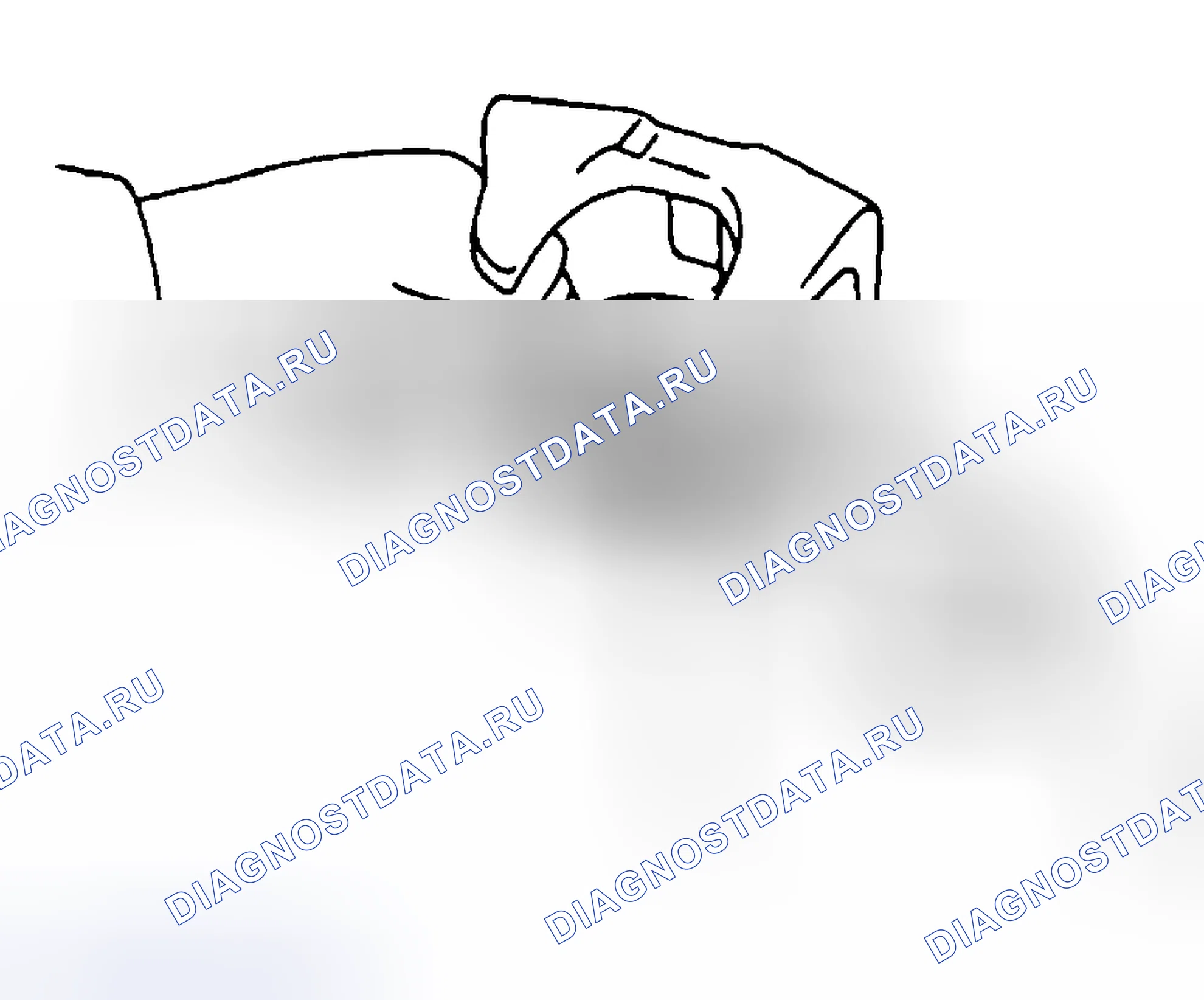 Рис. 38: Разборка. Honda Accord X рестайлинг