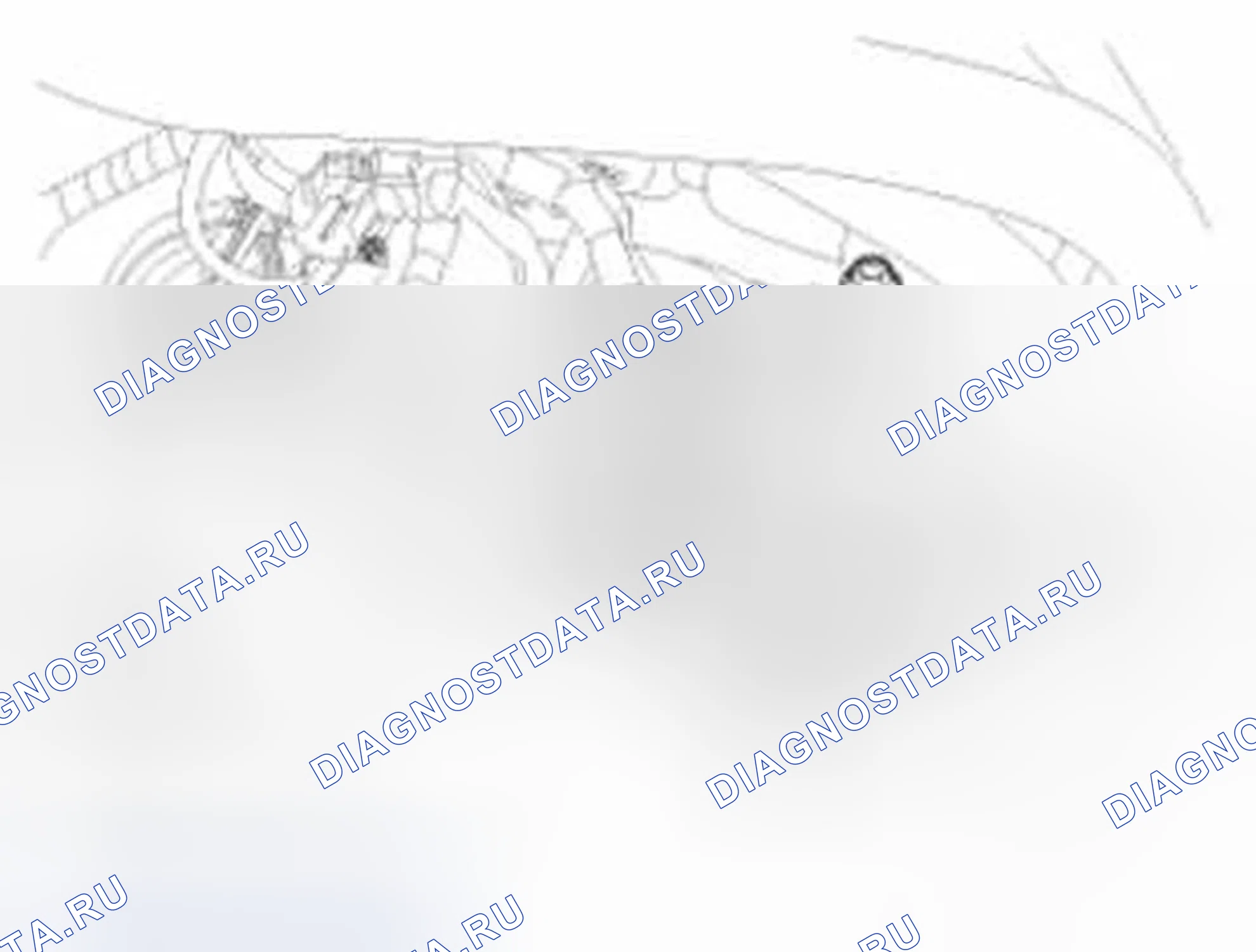 Рис. 423. Hyundai Sonata VI