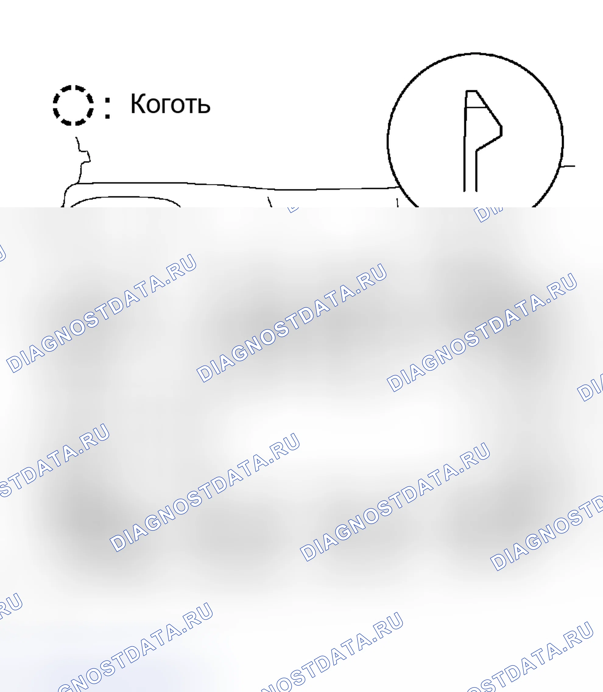 Рис. 205. Scion xB I