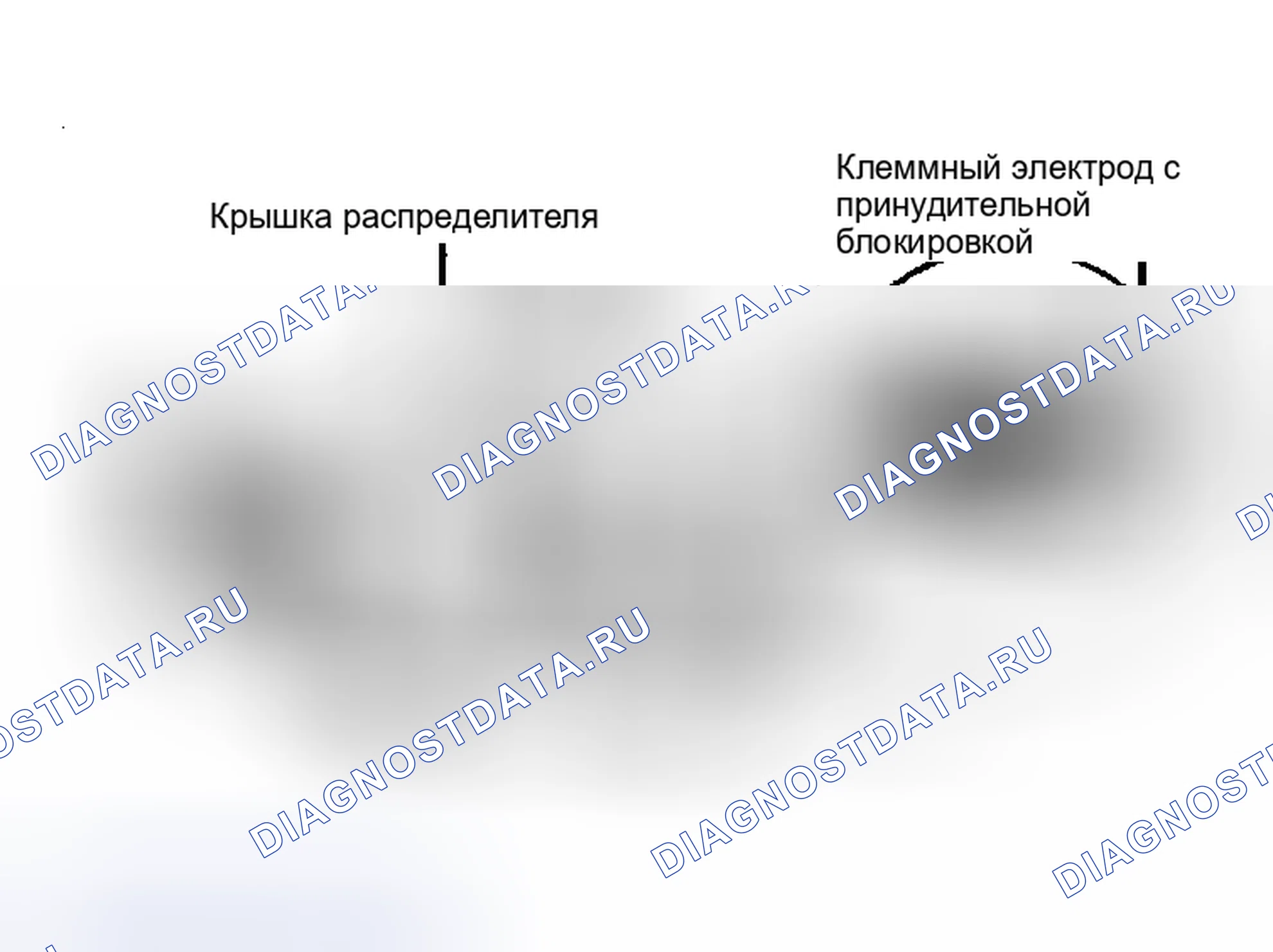 Рис. 1. Dodge Dakota Shelby 