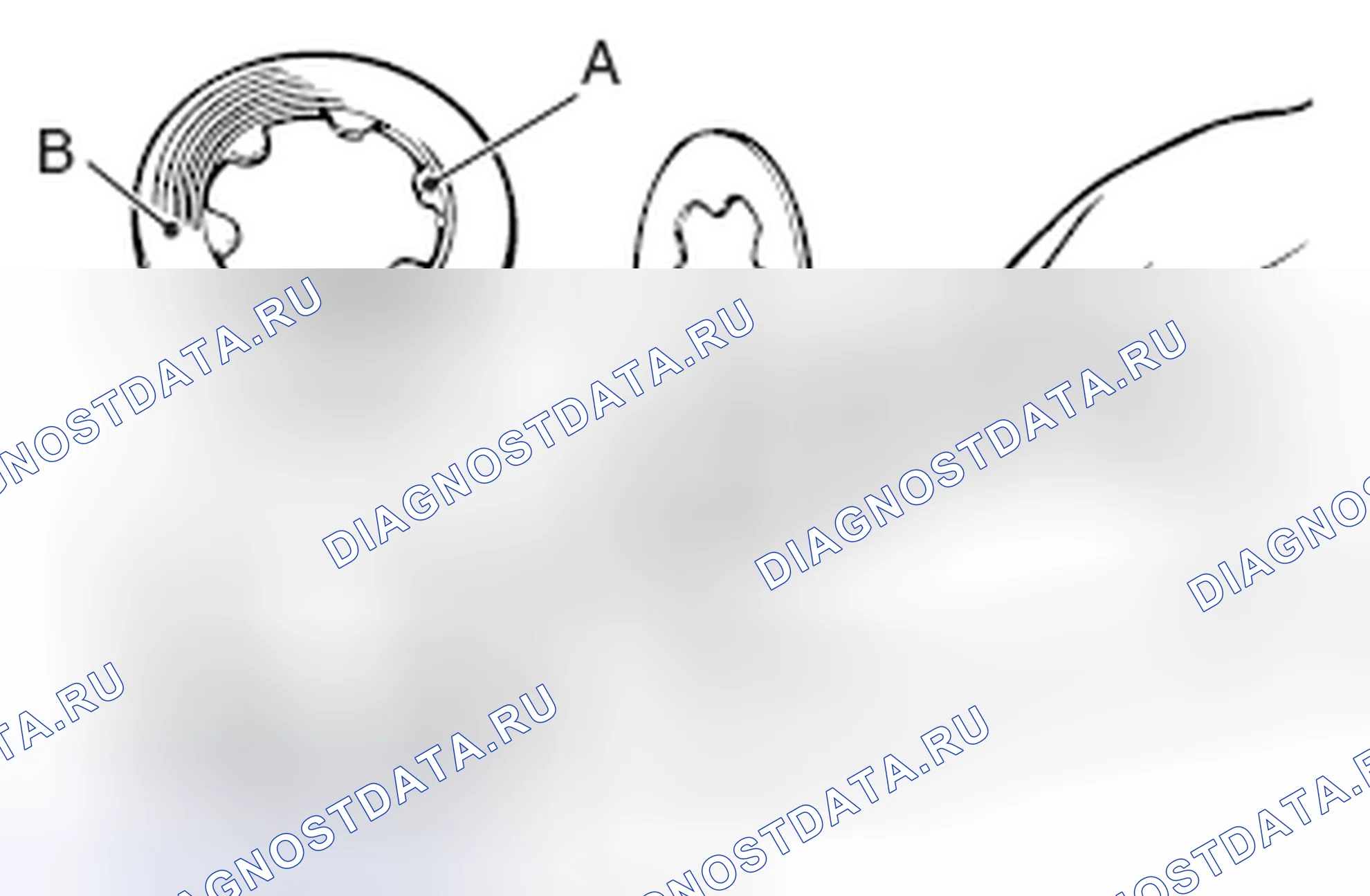 Рис. 108: ПРОВЕРКА ИЗНОСА ФРИКЦИОННОЙ ПЛАСТИНЫ И ФРИКЦИОННОГО ДИСКА. Mazda MX-5 NB