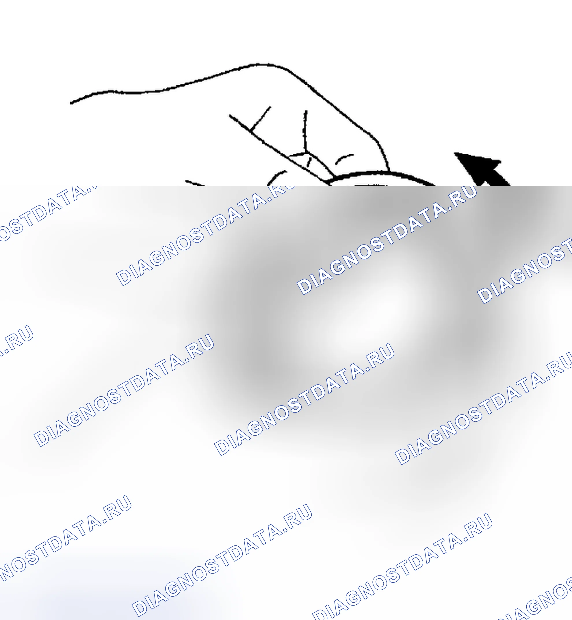 Рис. 306: Подшипник. Nissan Sentra B15
