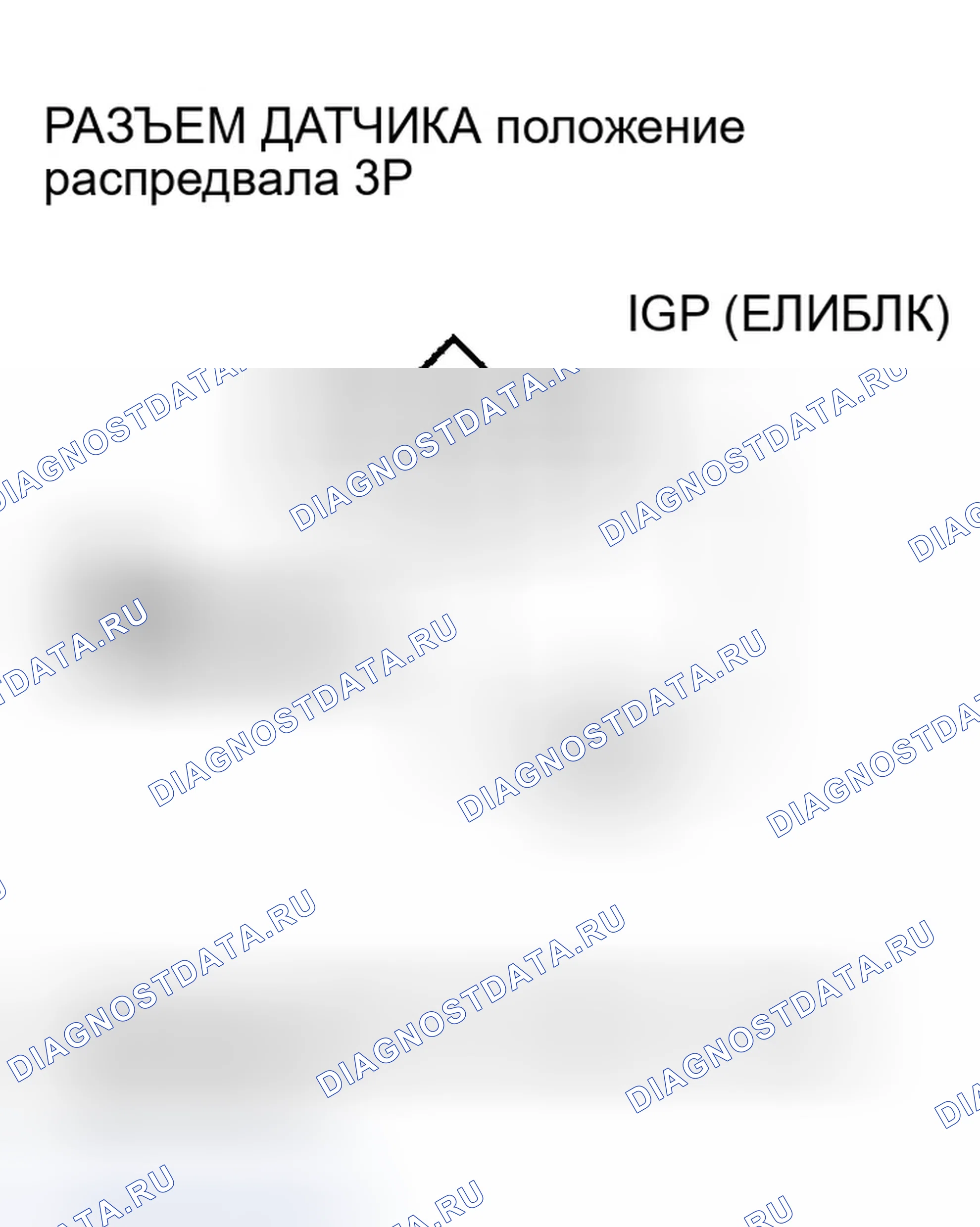 Рис. 584. Honda Accord VII рестайлинг