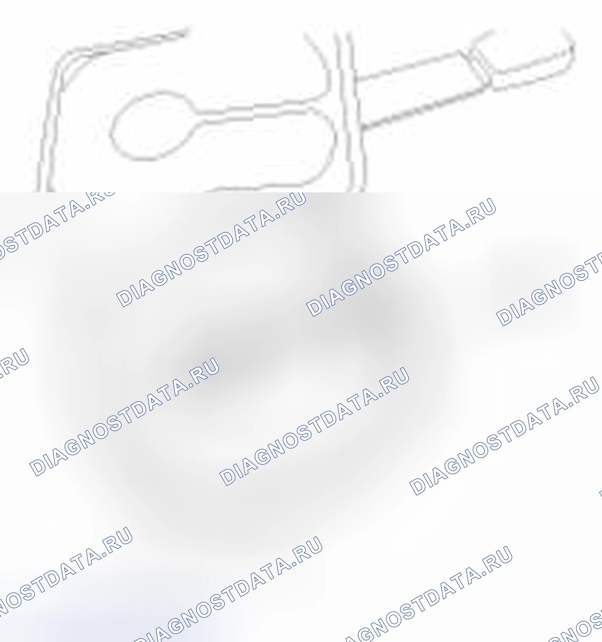 Рис. 94. Geely SC7 I