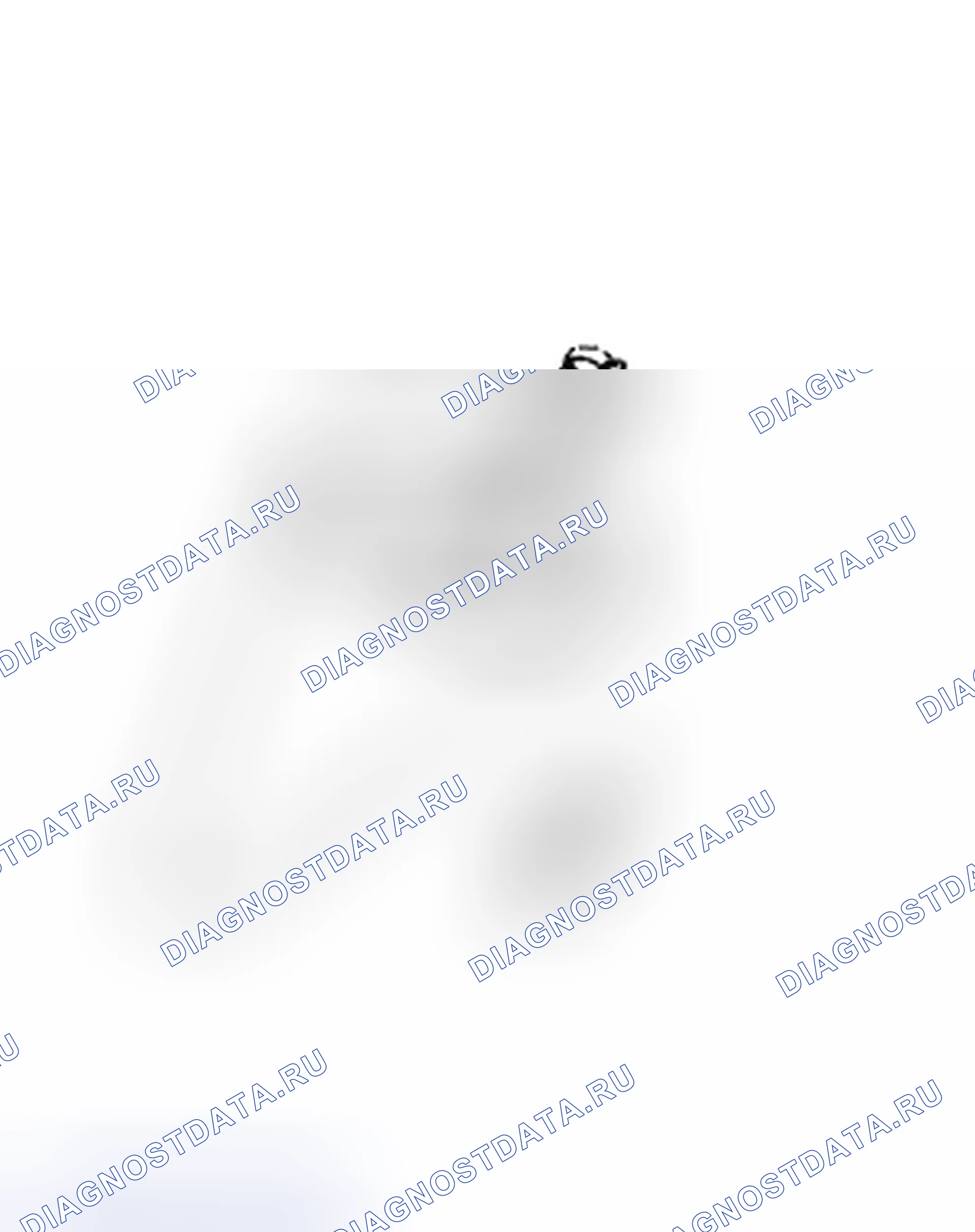 Рис. 3. Dodge Cab & Chassis R3500 HD 