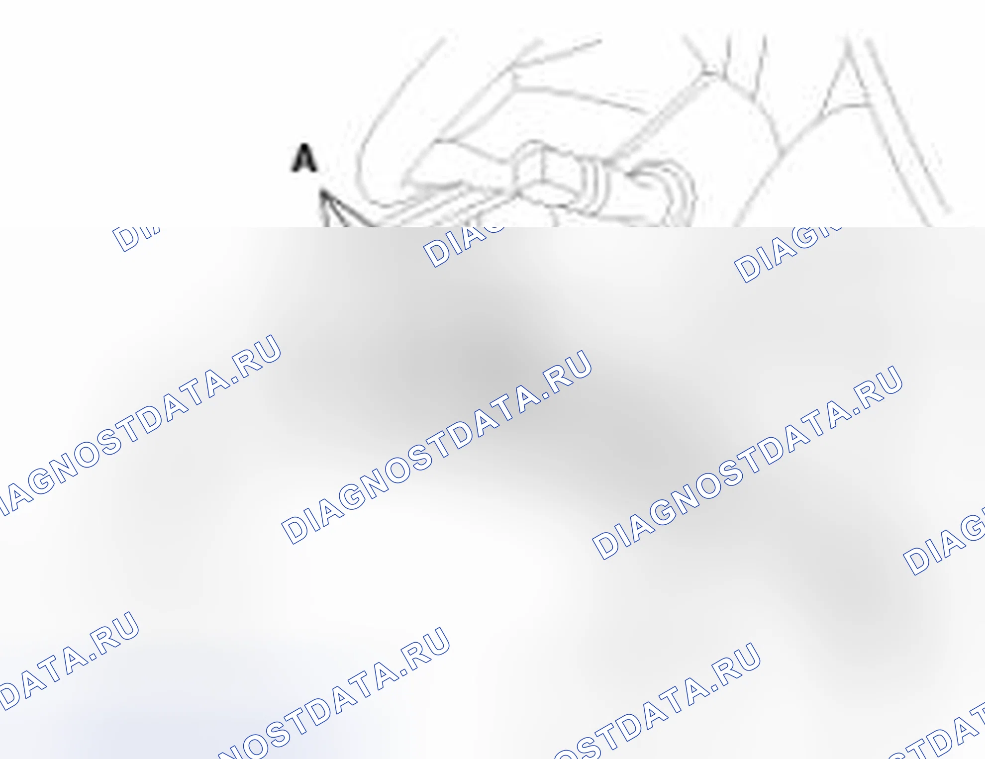 Рис. 44. Geely Vision X3 Pro I
