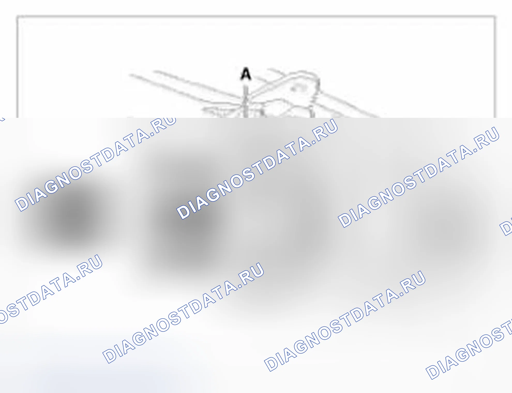 Рис. 51: Тип HID. Hyundai Azera II