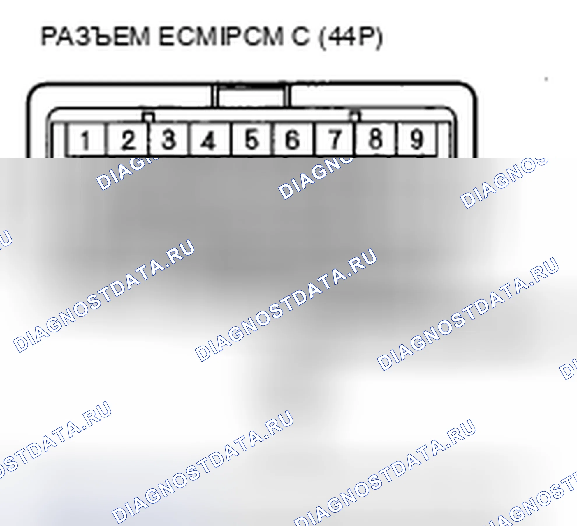 Рис. 365. Acura CSX I