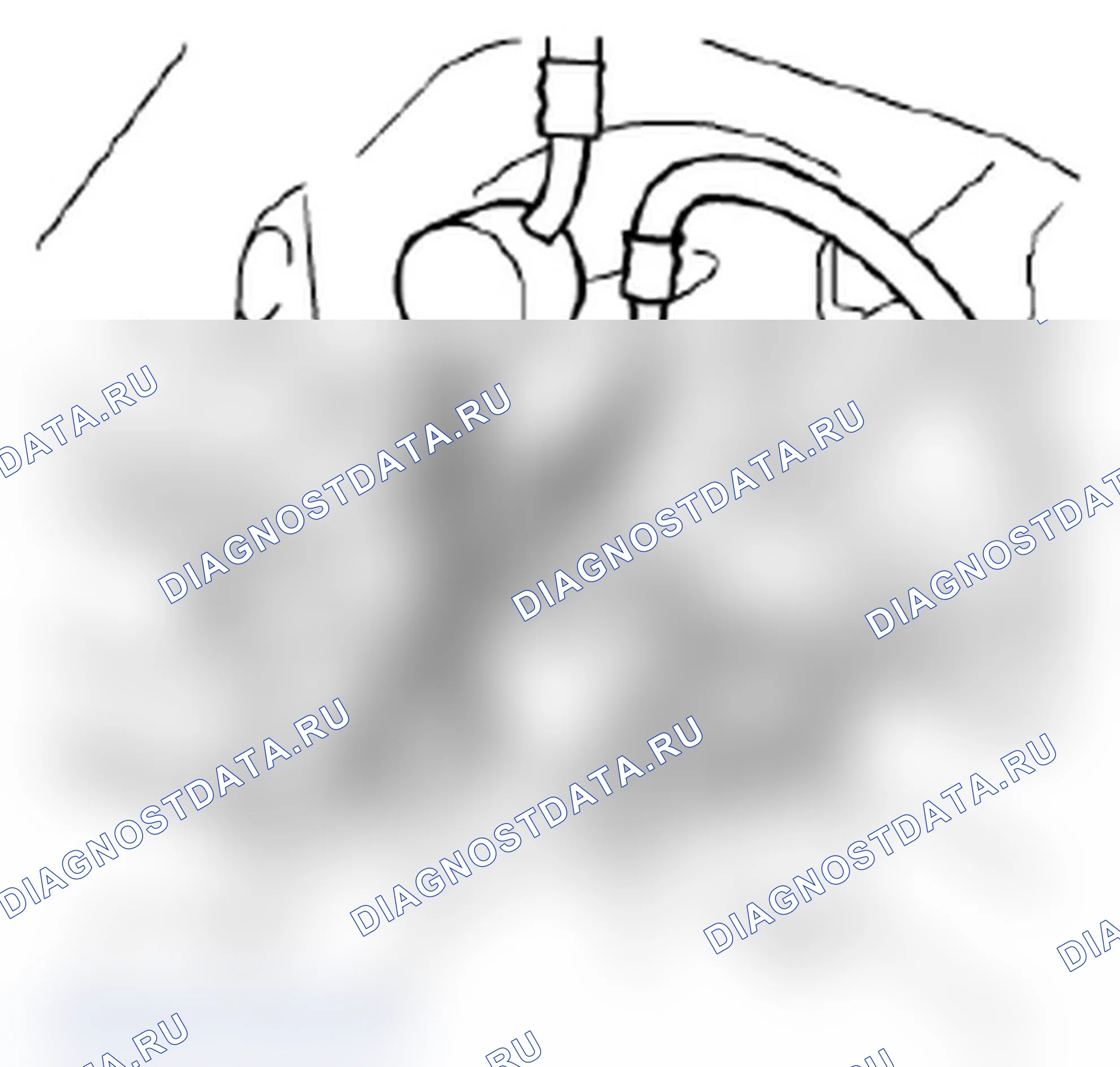 Рис. 171. Suzuki Grand Vitara II рестайлинг