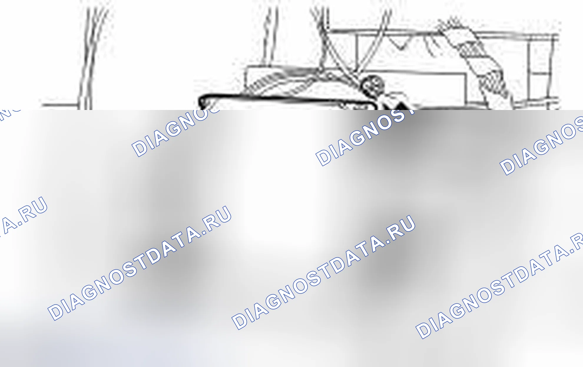 Рис. 14. Land Rover Range Rover L322