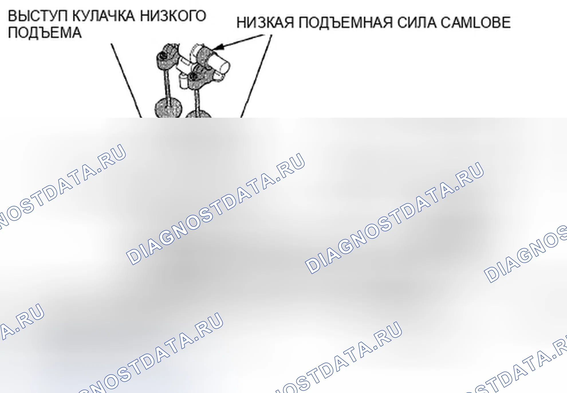 Рис. 582: Сторона впускного клапана. Honda Crosstour I