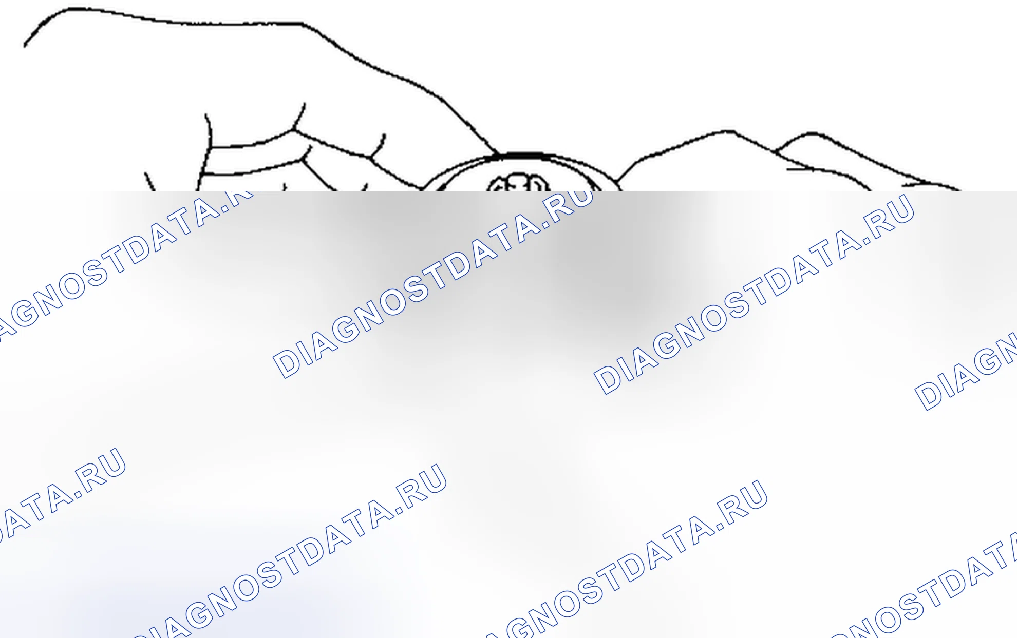 Рис. 860. Toyota 4Runner V