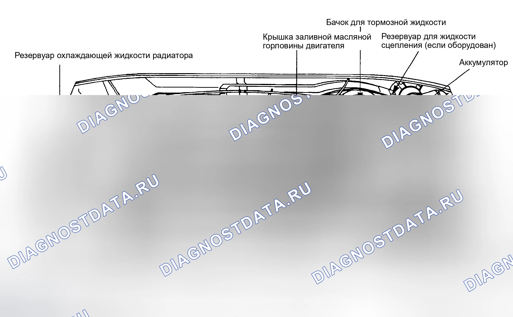 Рис. 4: РАСПОЛОЖЕНИЕ ТОЧЕК ОБСЛУЖИВАНИЯ. Kia Sephia I рестайлинг