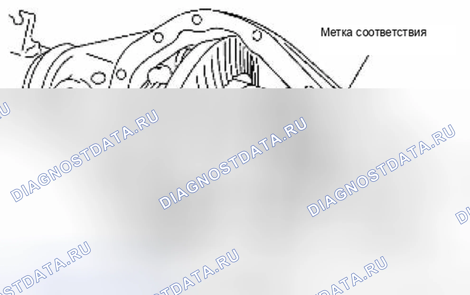 Рис. 146. Suzuki Equator I