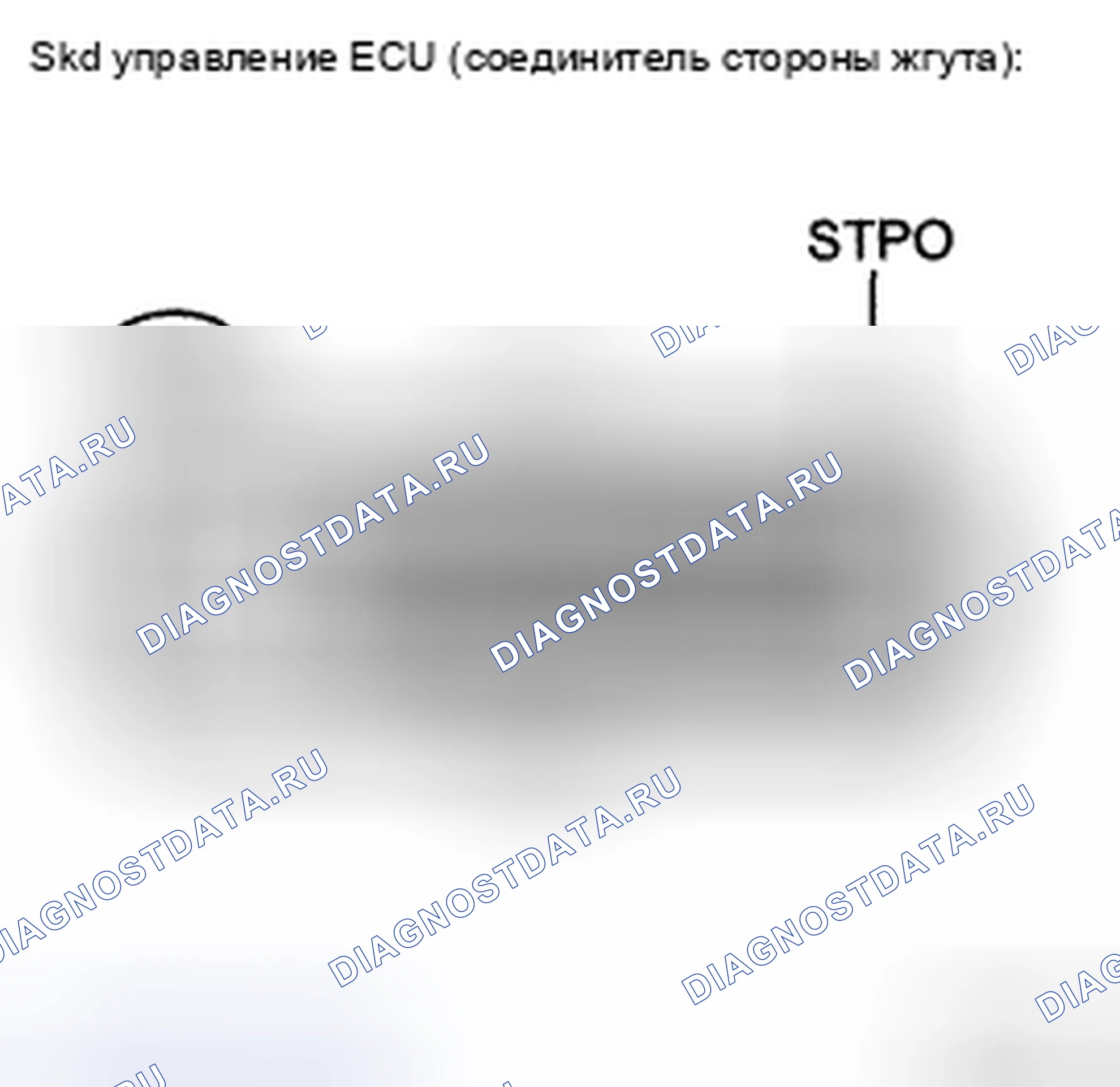 Рис. 143. Toyota Tacoma II